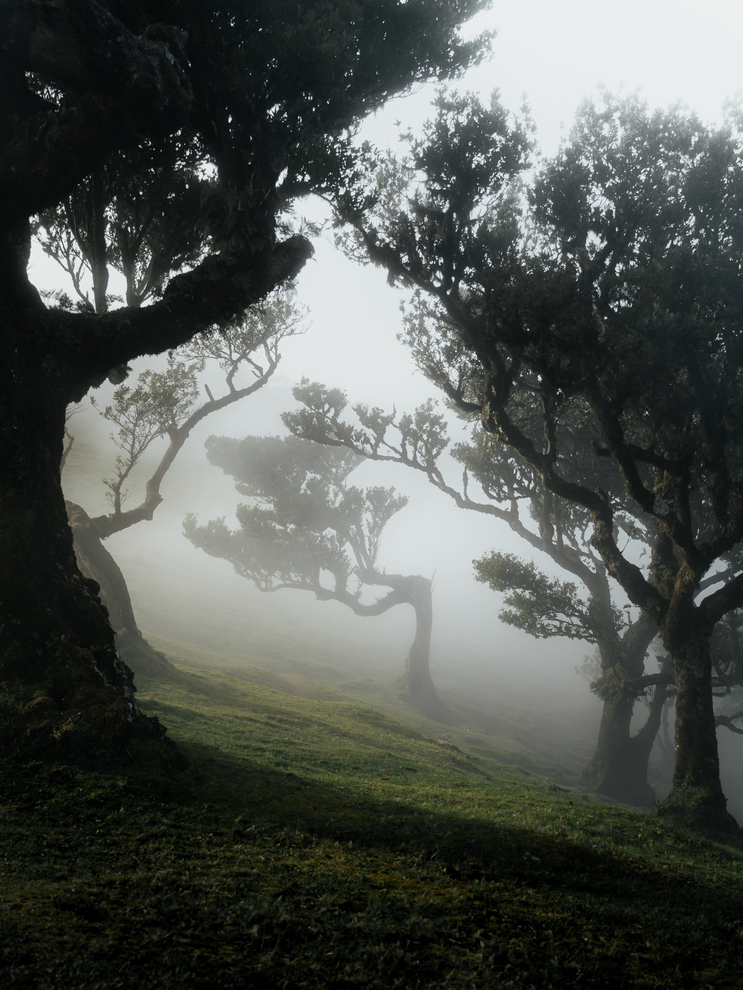 Madeira_2025ReEdit-2.jpg