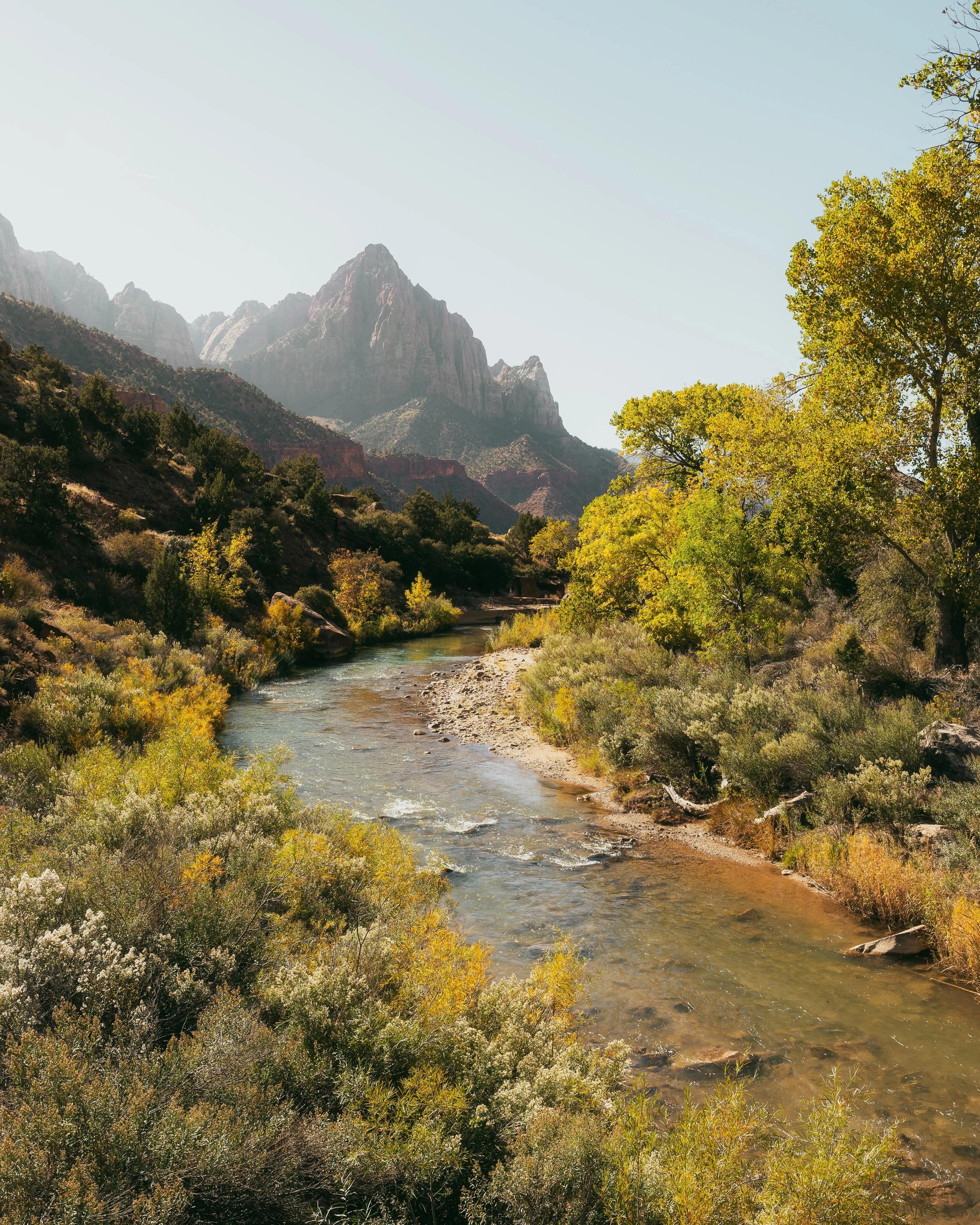 Zion_1023-36 copy.jpg