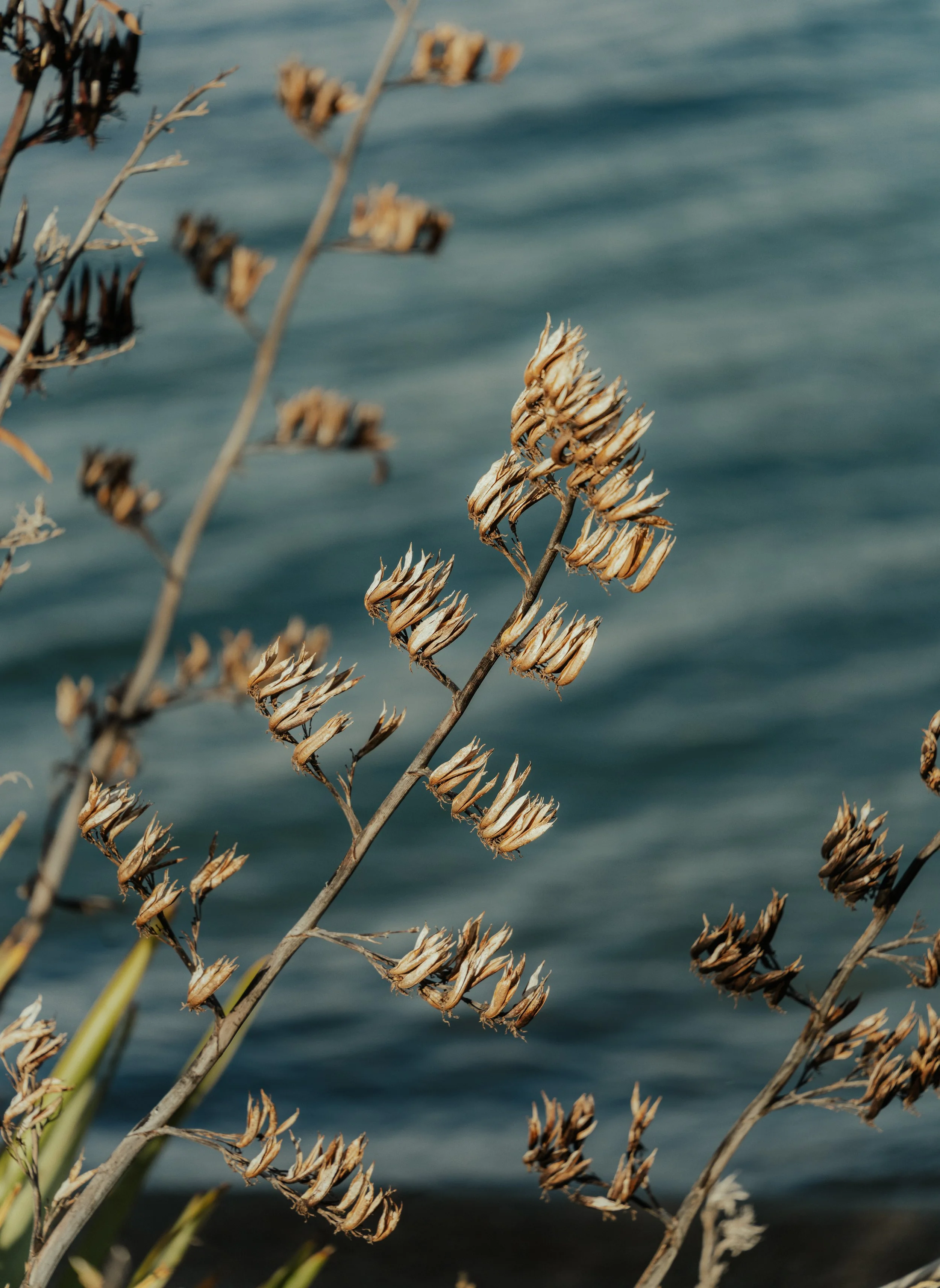 Squarespace_NewZealand-11.jpg