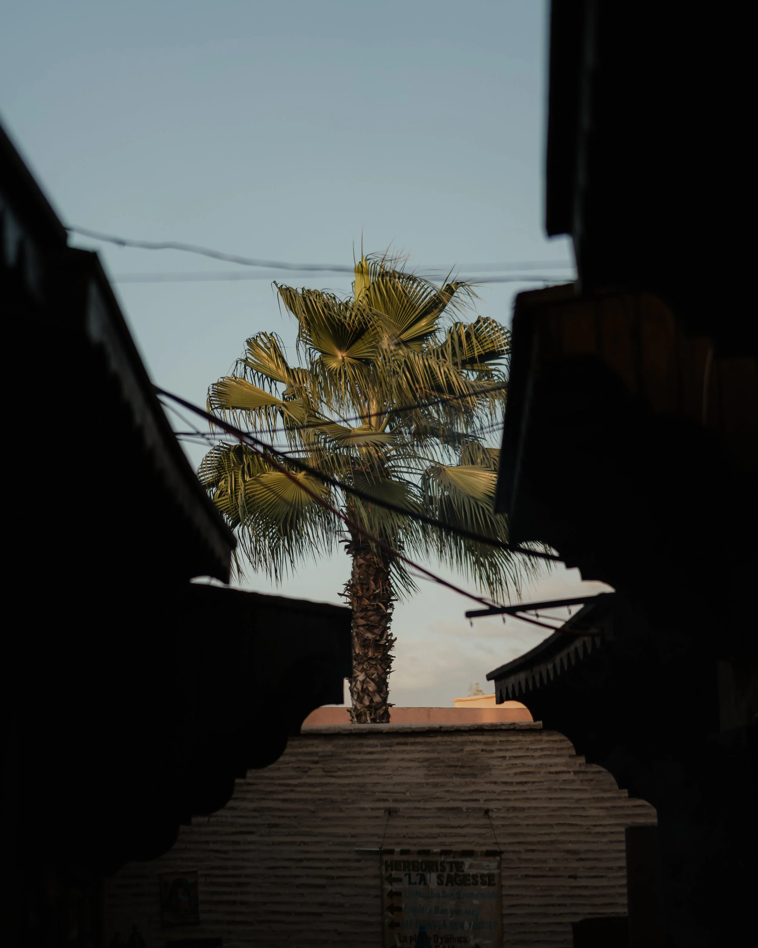 Squarespace_Morocco-1.jpg