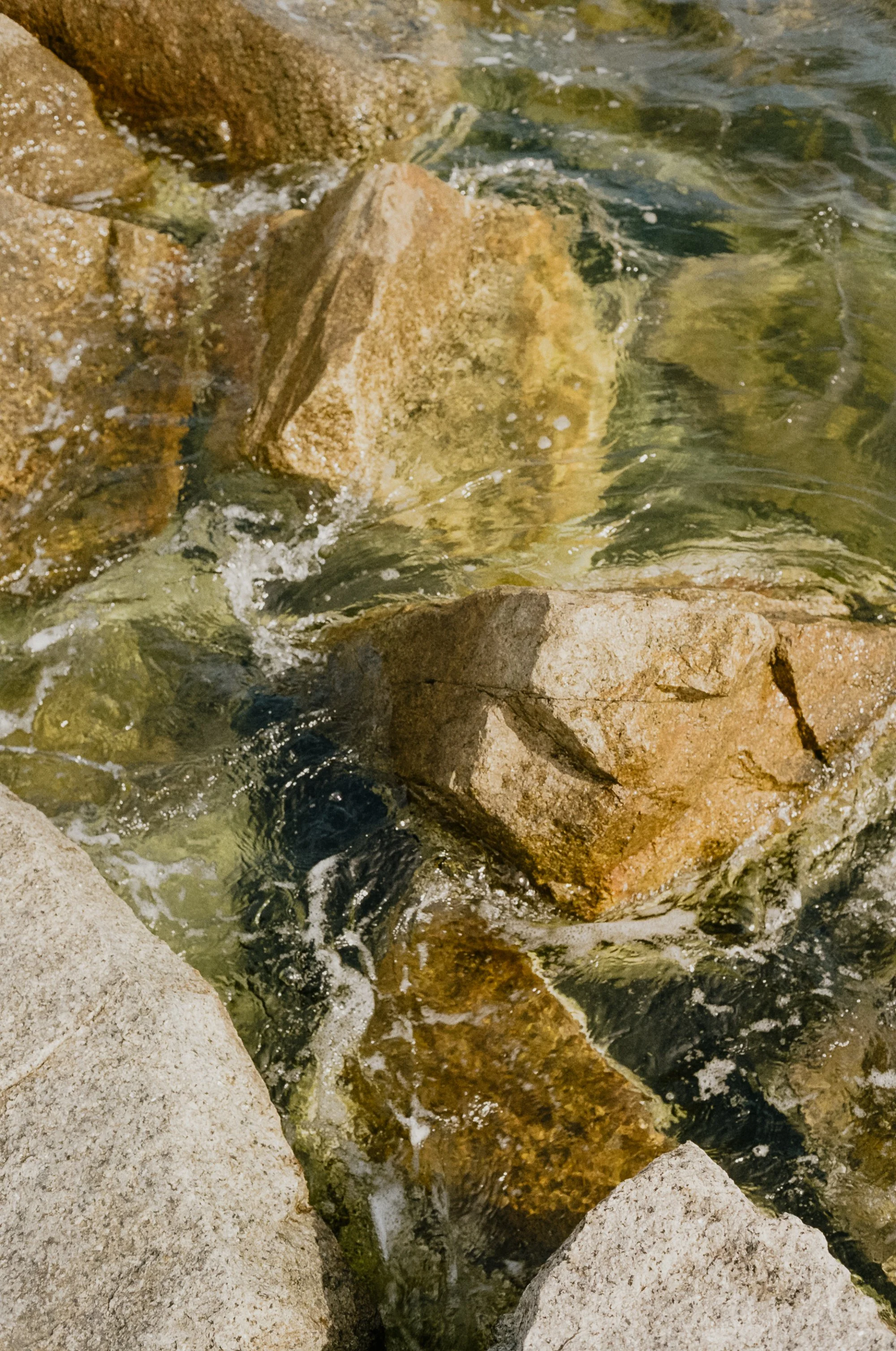 Analog_CapeCod_Squarespace-13.jpg