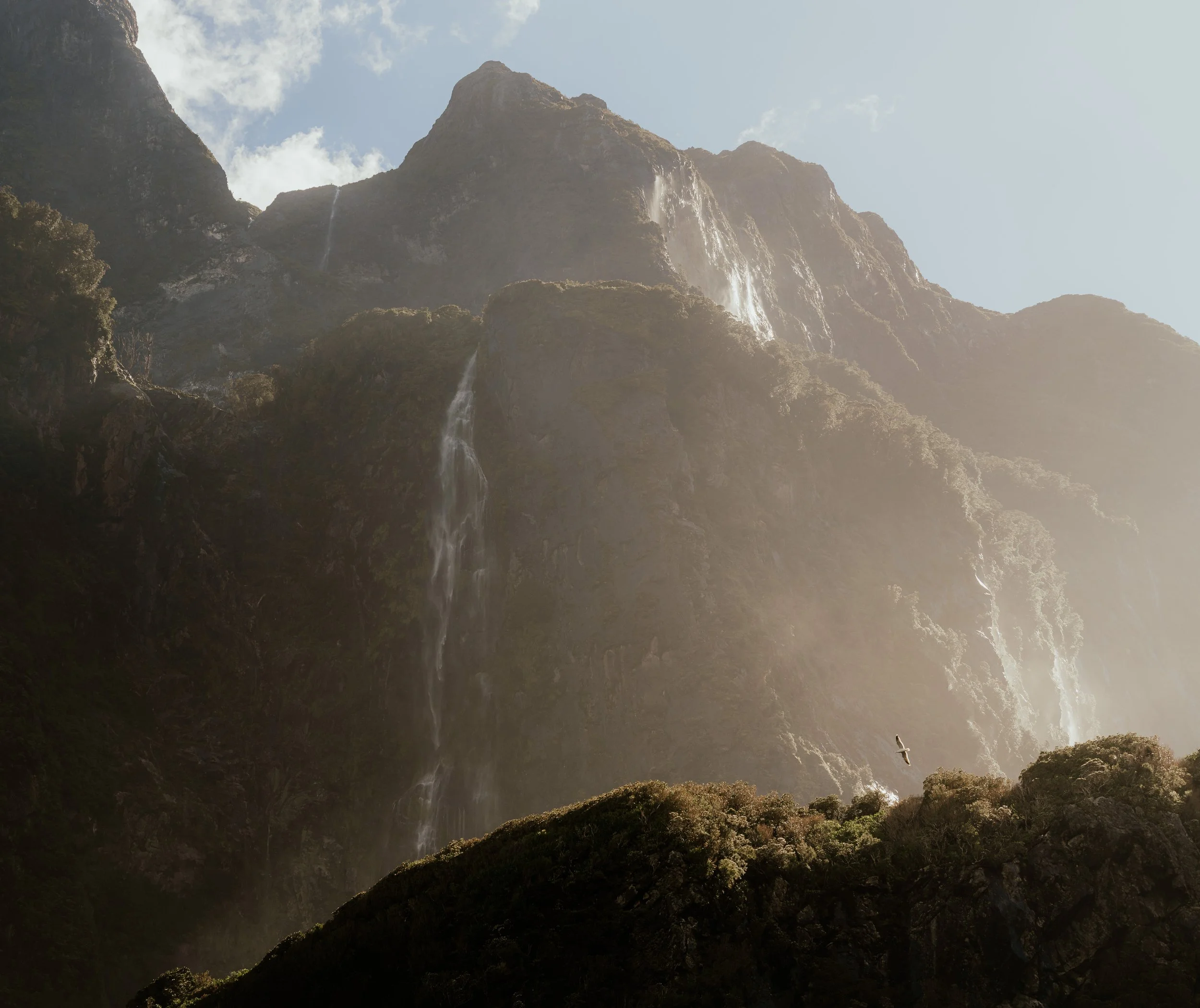 Squarespace_NewZealand-8.jpg
