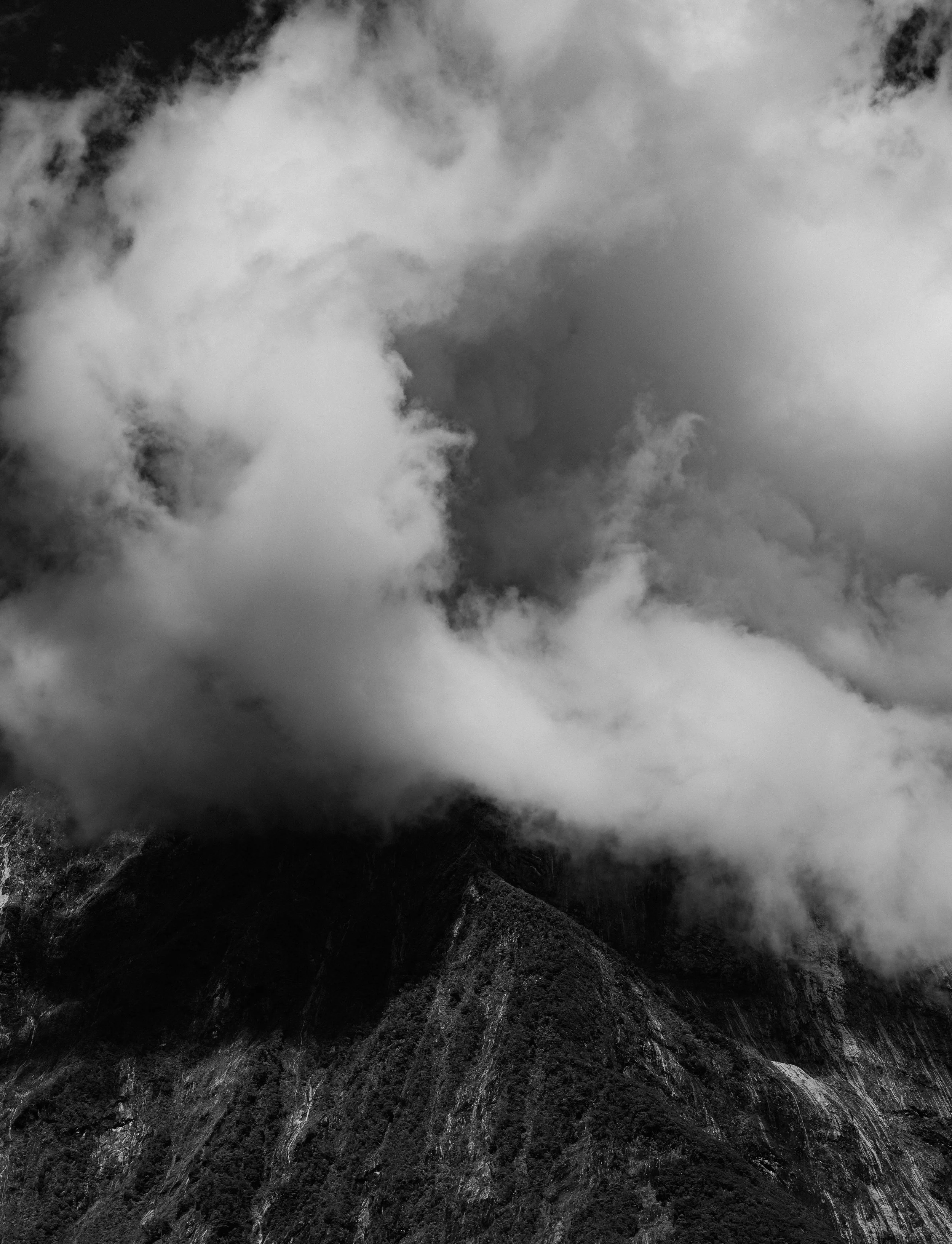 Squarespace_NewZealand-10.jpg
