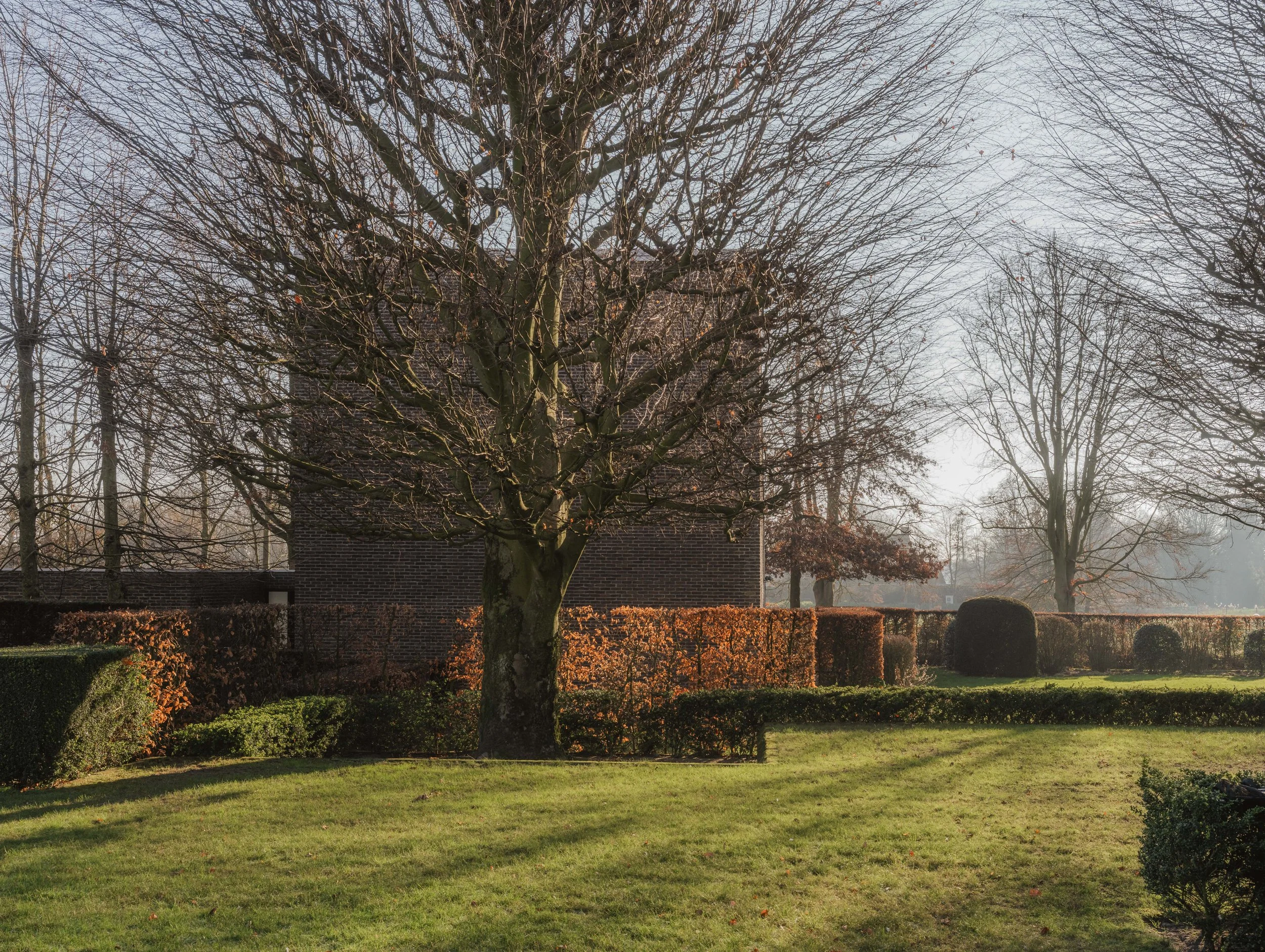 A photo of a park or garden with leafless trees, neatly trimmed bushes, and sunlight casting shadows on the grass, with a brick building partially visible in the background.