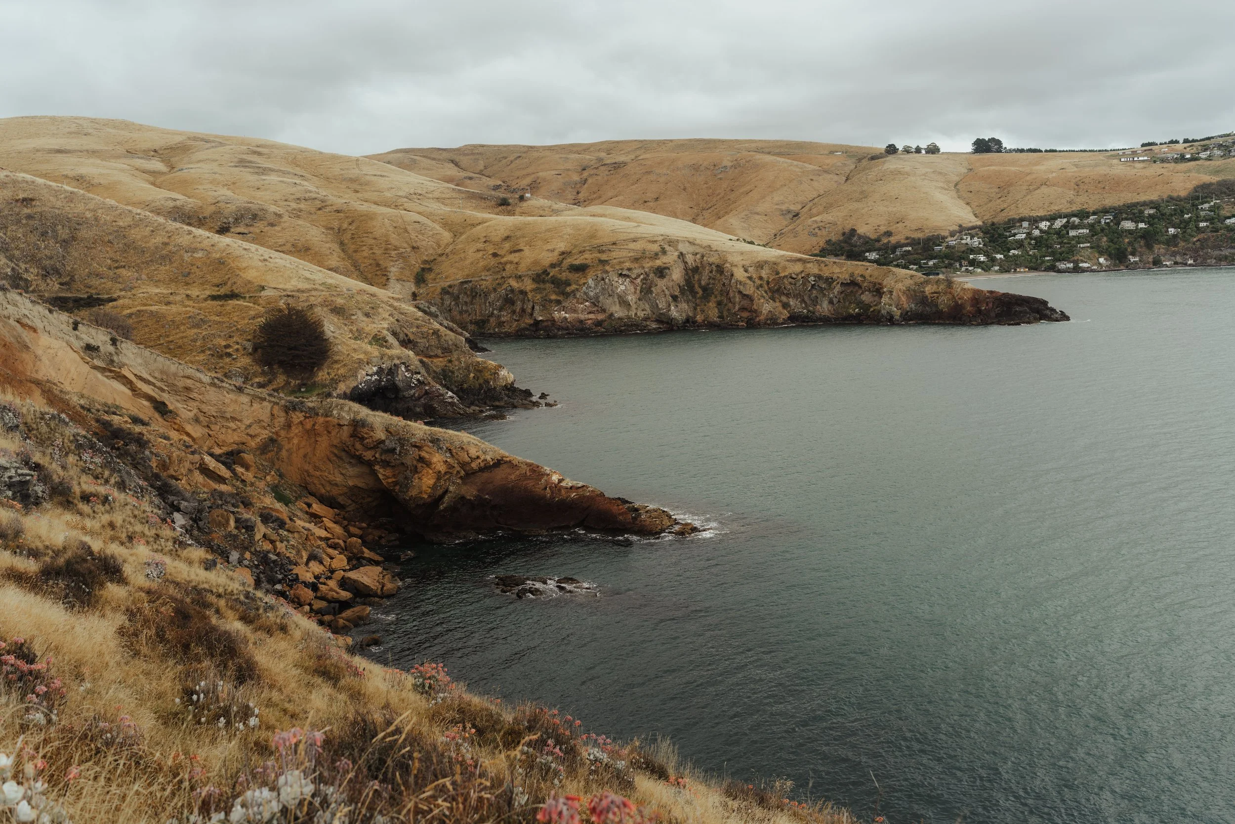 Squarespace_NewZealand-23.jpg