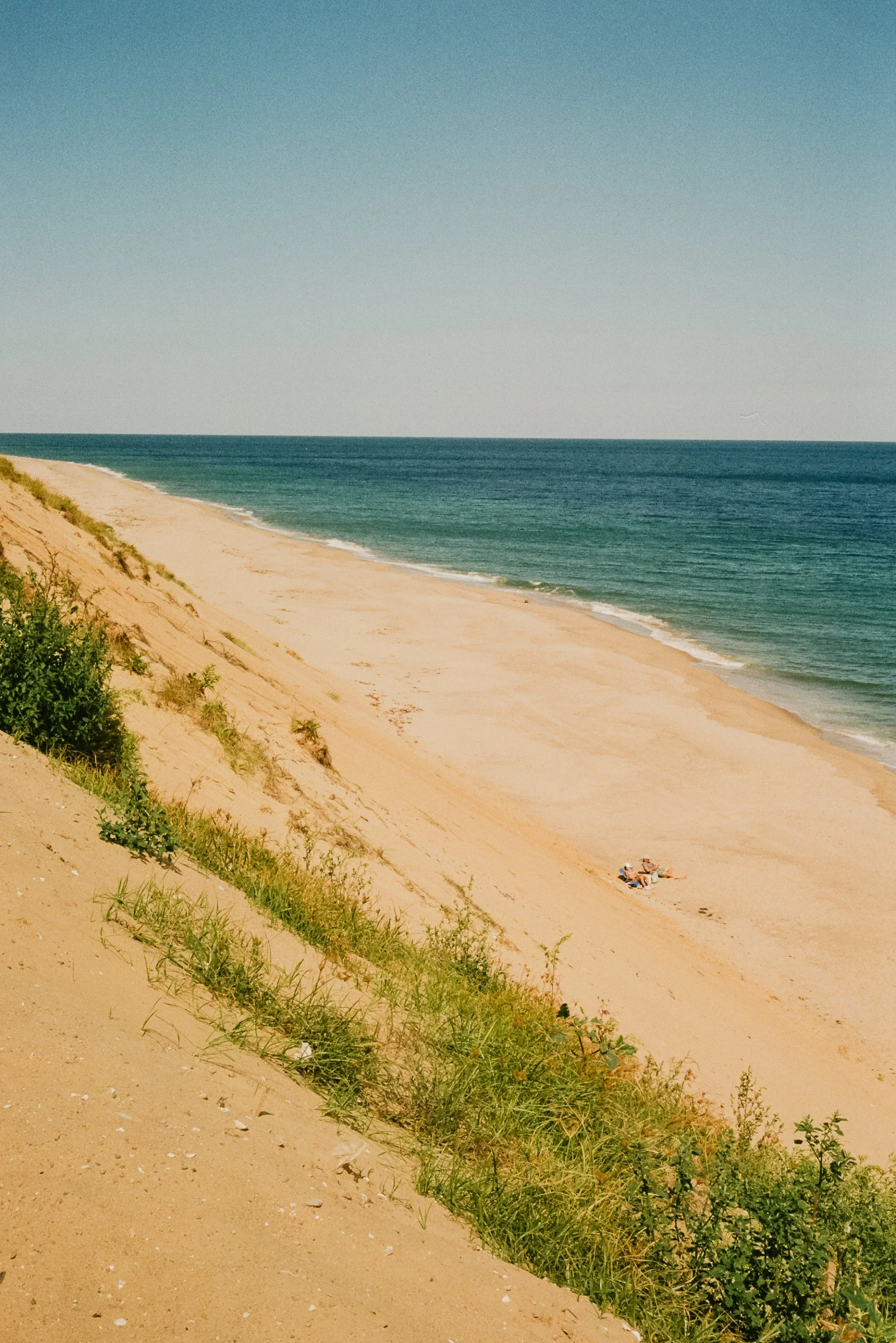 Analog_CapeCod_Squarespace-21.jpg