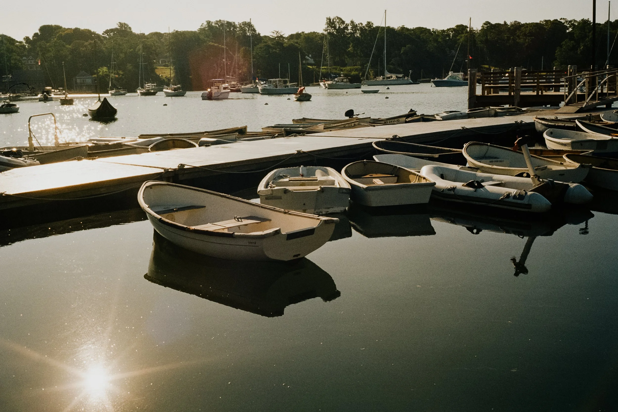 Analog_CapeCod_Squarespace-15.jpg