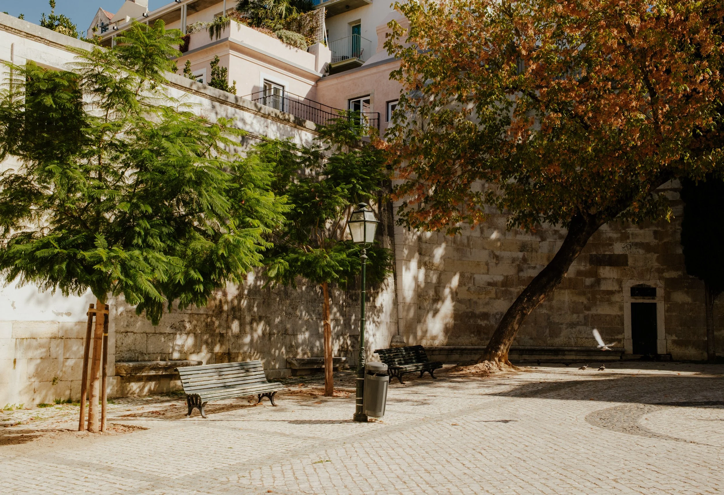 Squarespace_Portugal2026-50.jpg