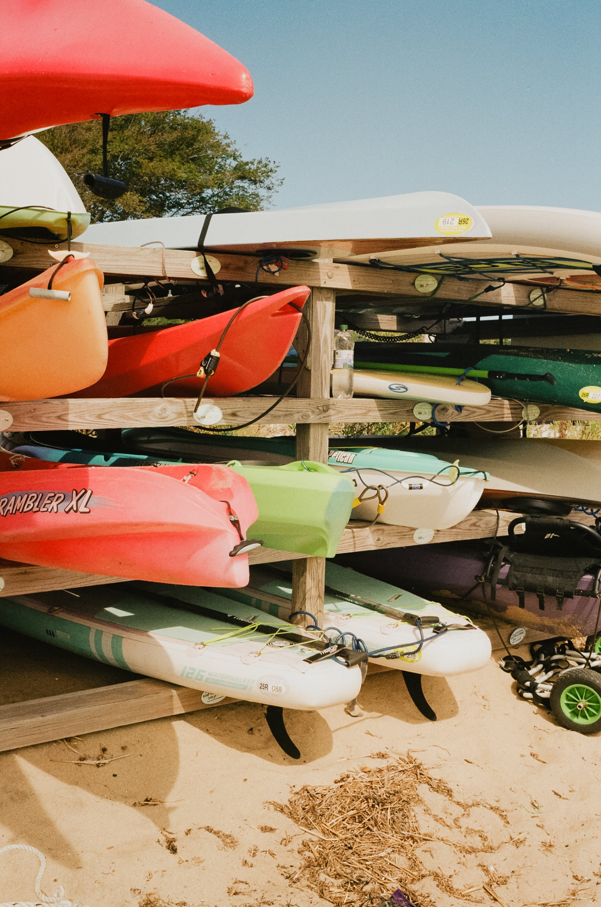 Analog_CapeCod_Squarespace-10.jpg