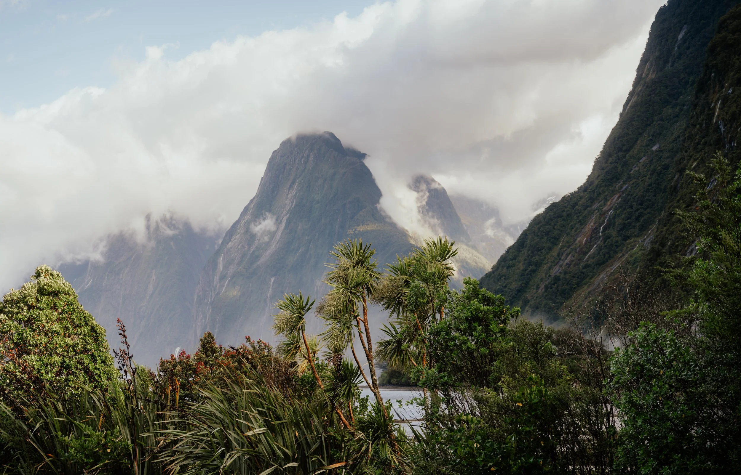 Squarespace_NewZealand-5.jpg