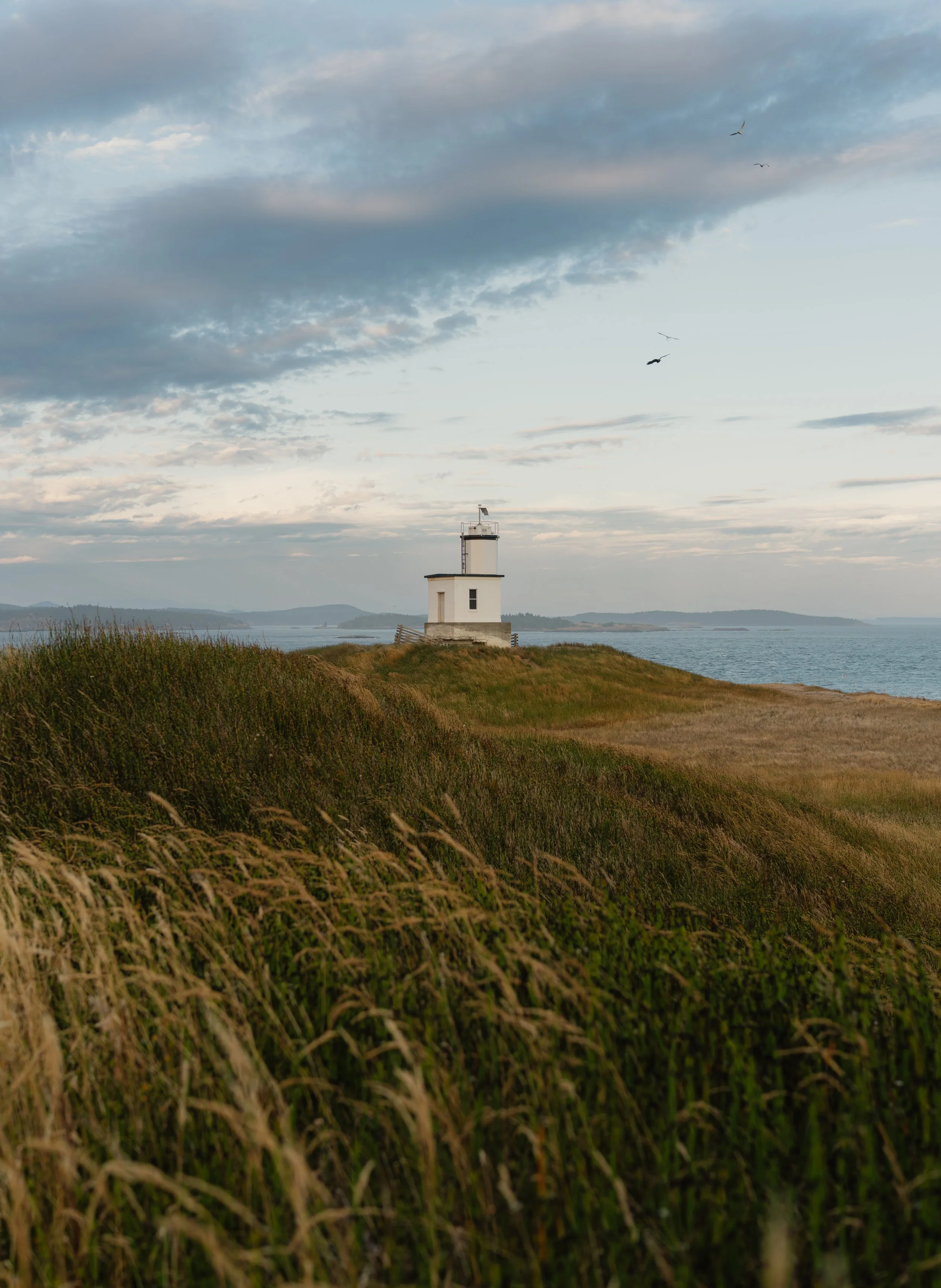 Washington_SanJuanIsland_0725-39.jpg