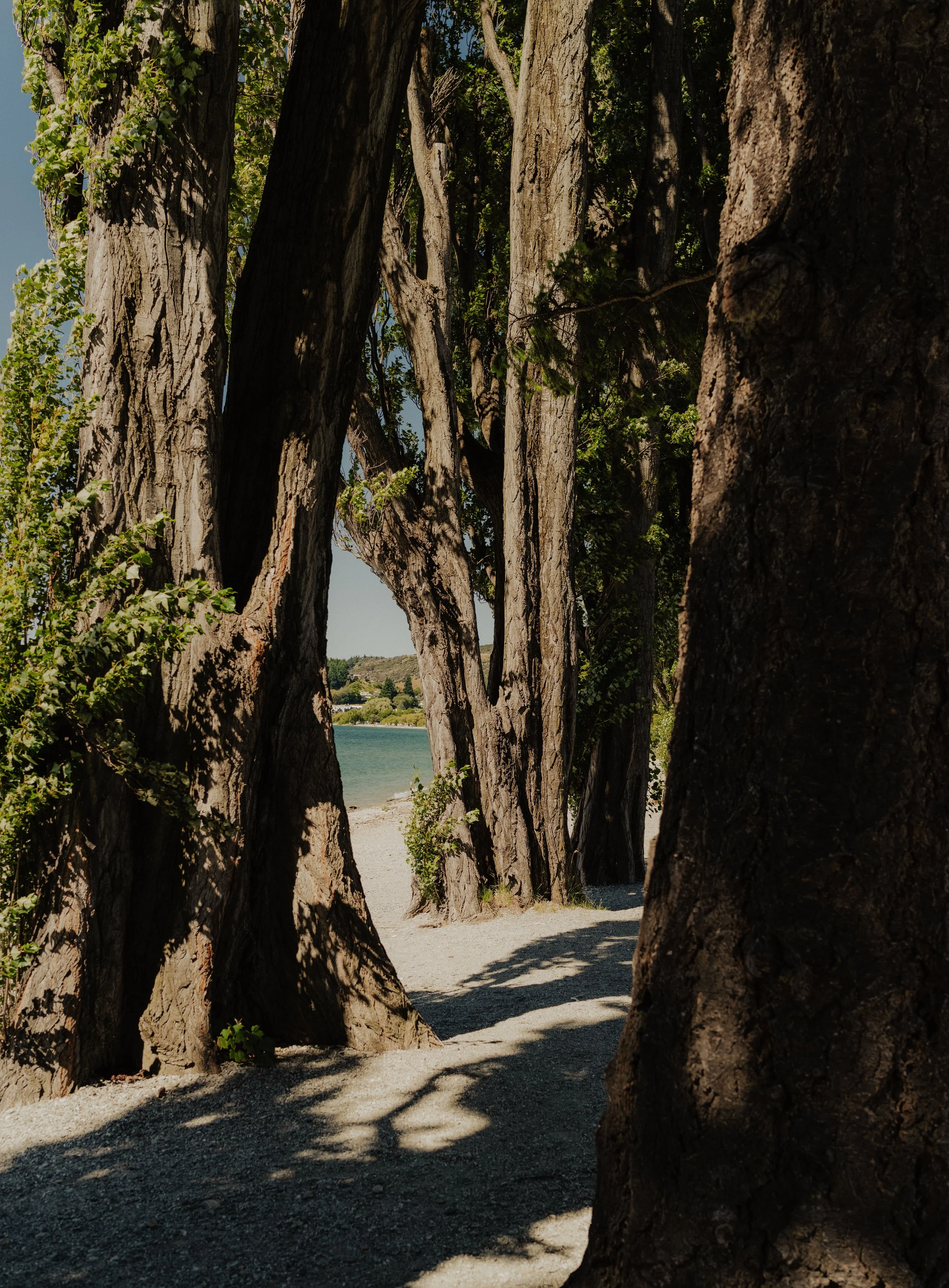 Squarespace_NewZealand-14.jpg