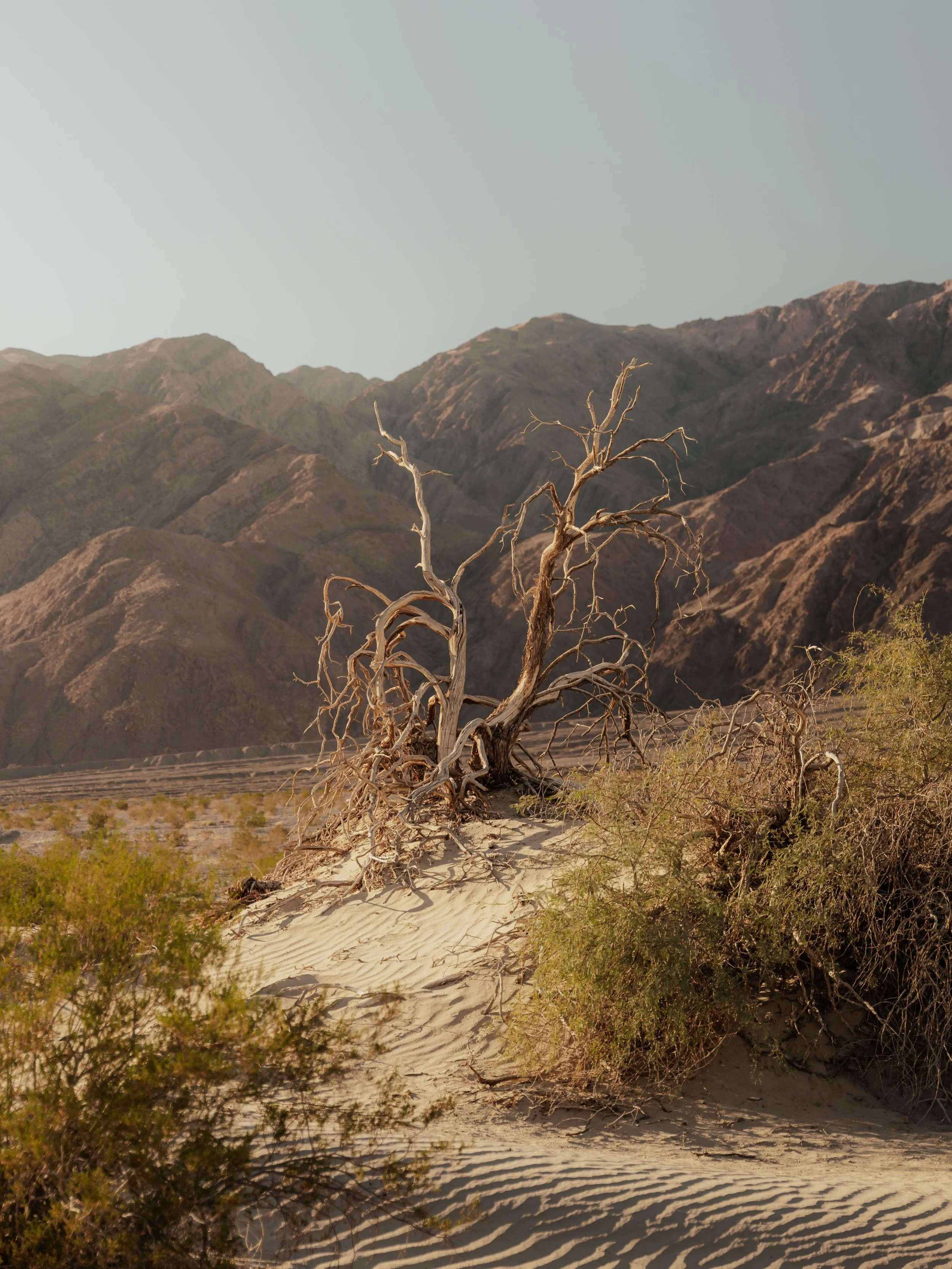 DeathValley_Squarespace-15.jpg