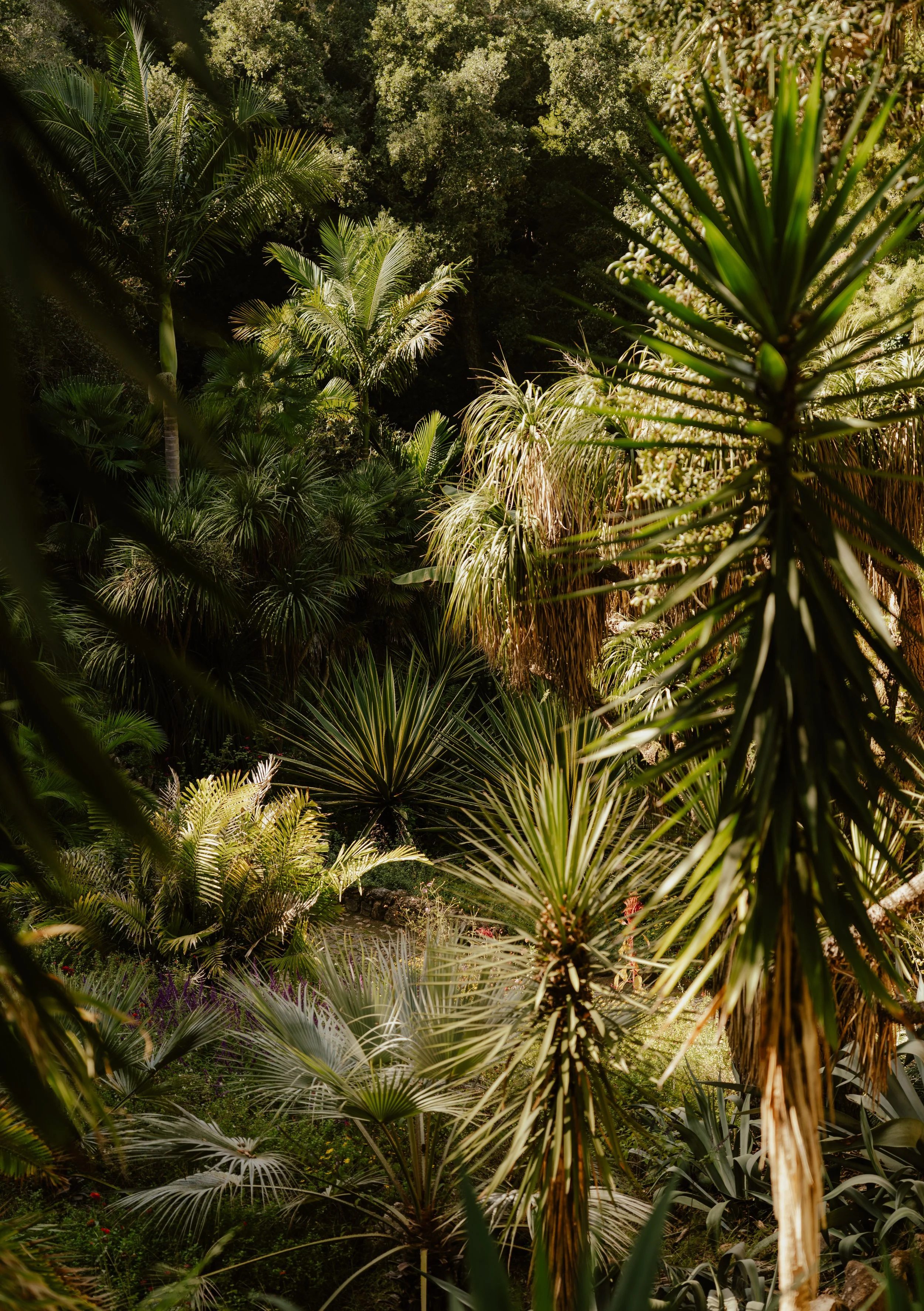 Squarespace_FourSeasonsLisbon-27.jpg
