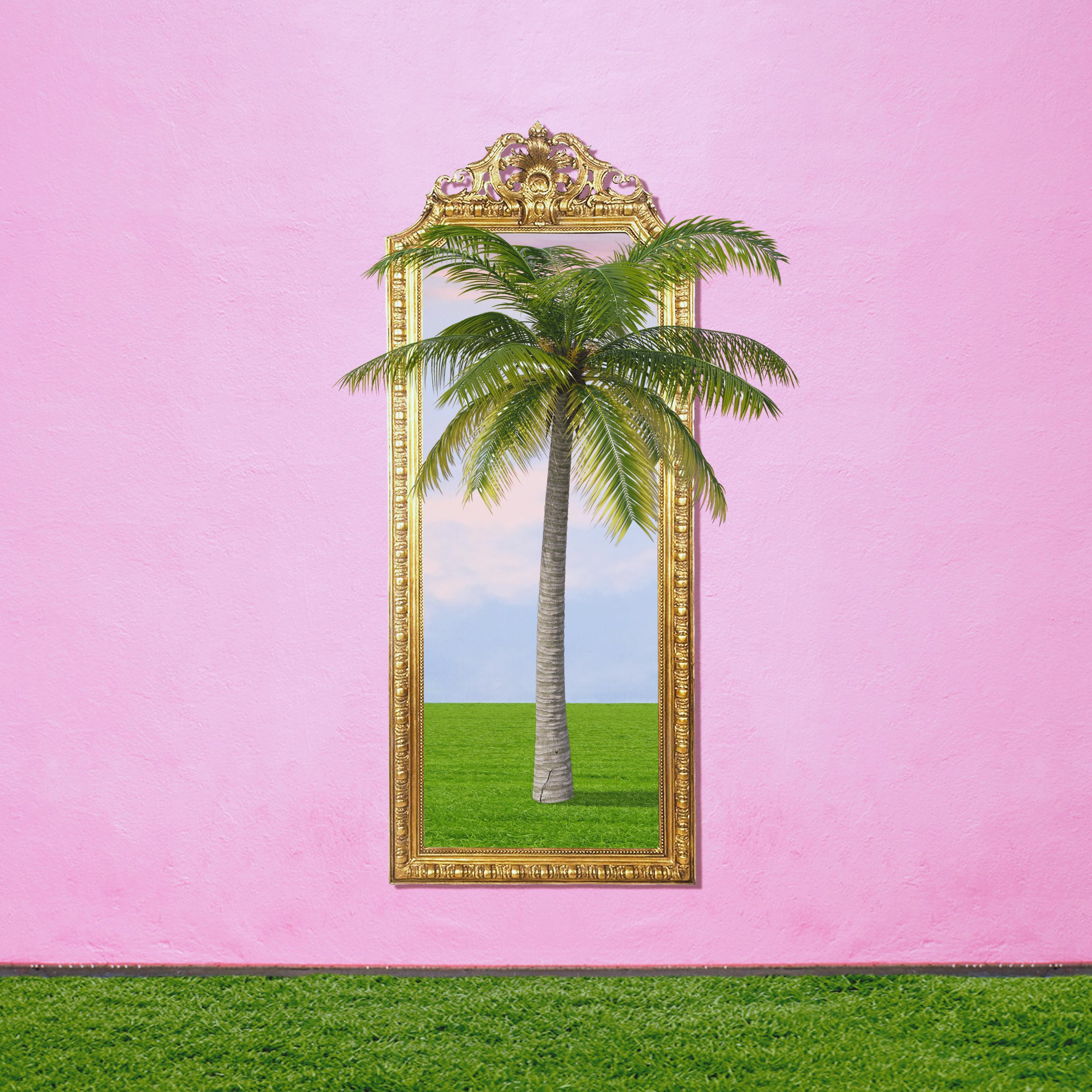 PinkWallMirrorCoverArt copy.jpg