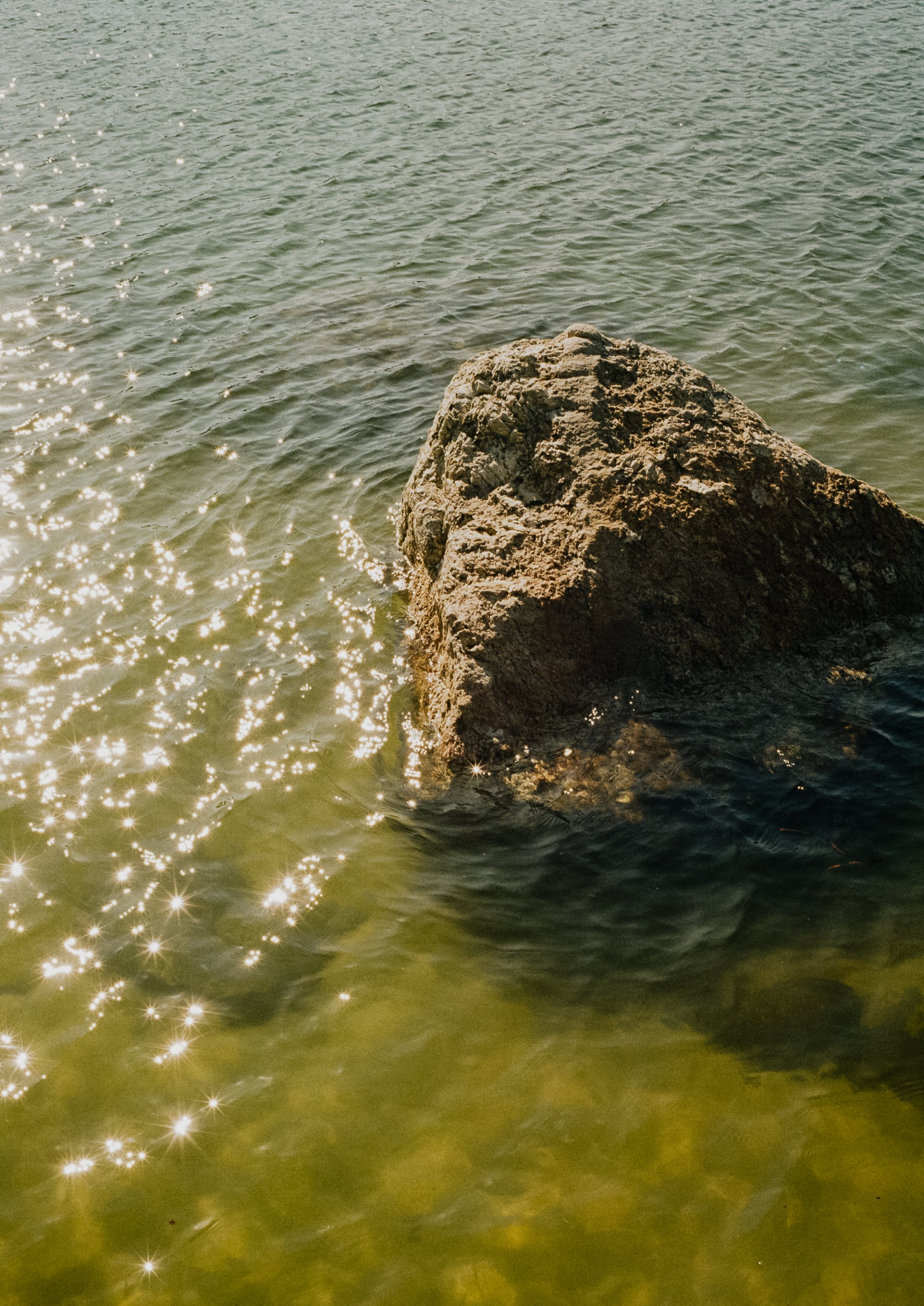 Analog_CapeCod_Squarespace-25.jpg