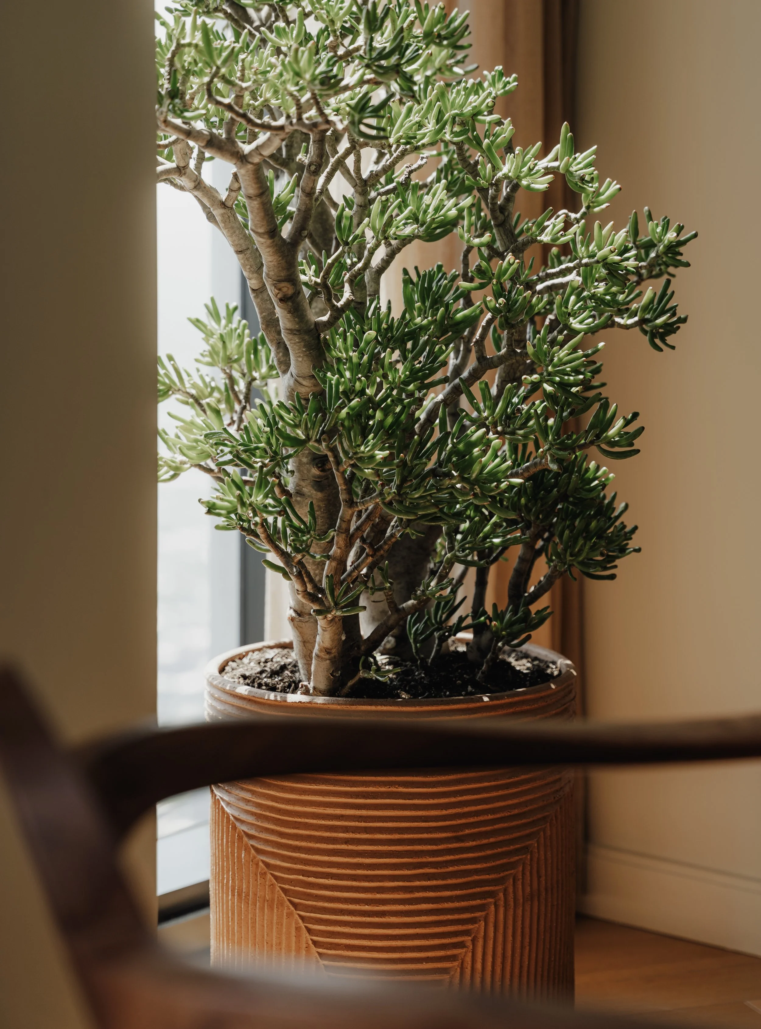 Squarespace_Radnor-8.jpg
