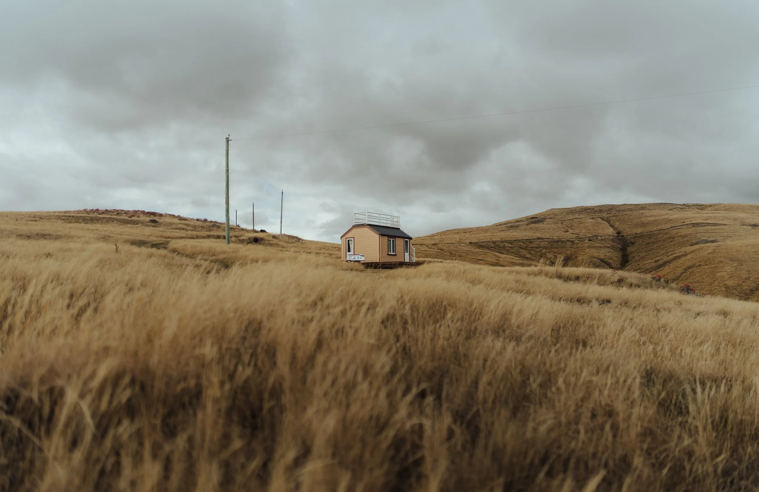 Squarespace_NewZealand-24.jpg