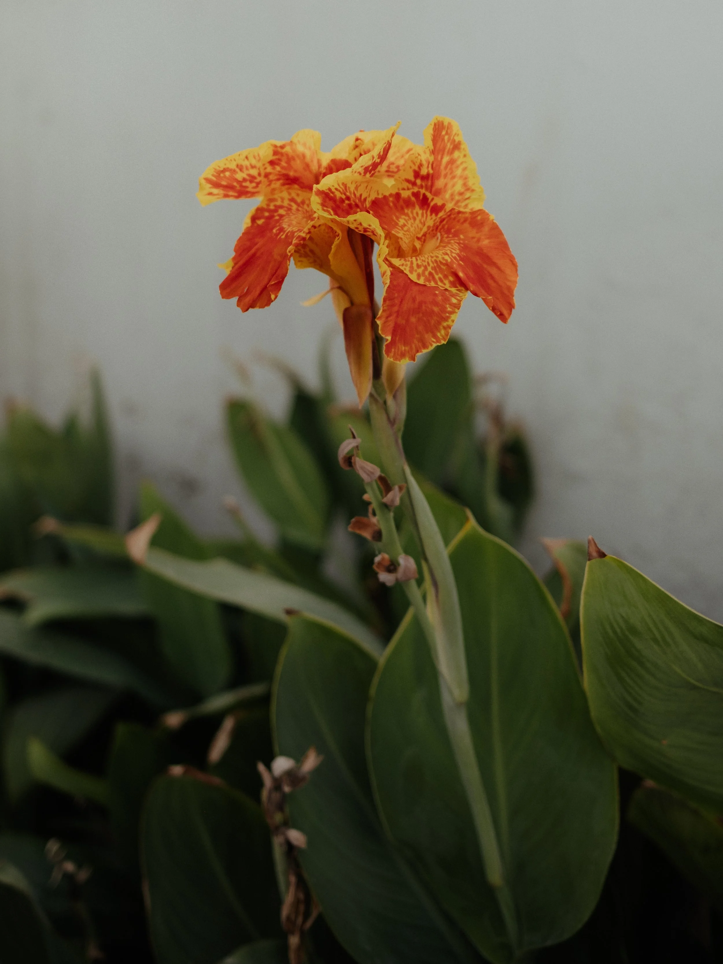 Squarespace_Pakistan-29.jpg