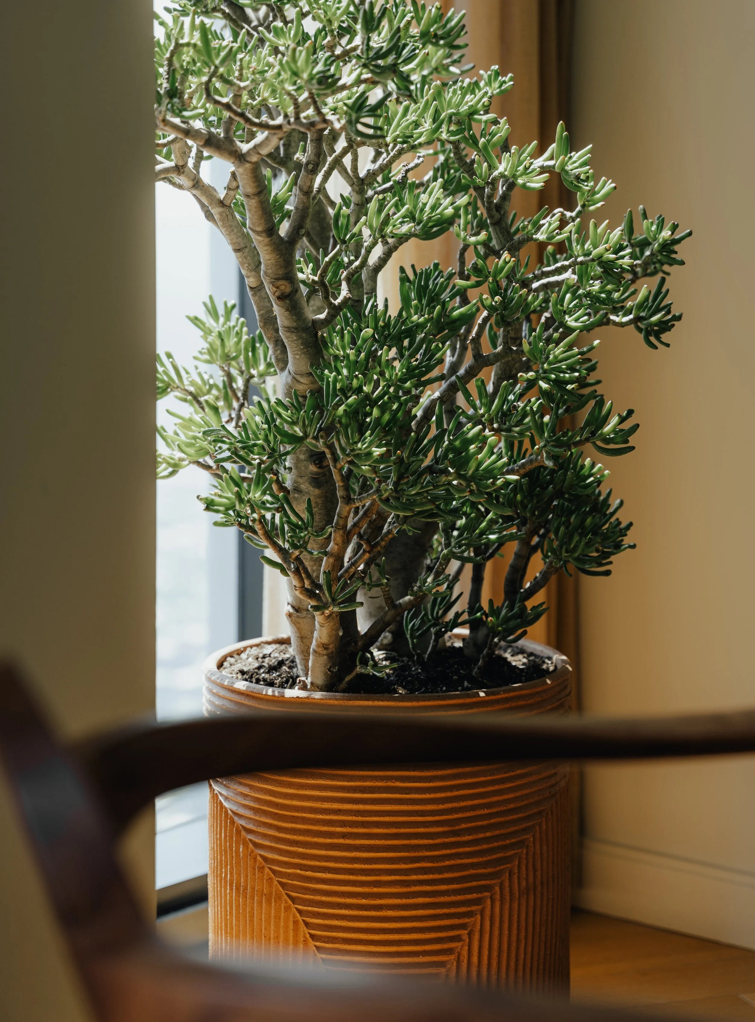 RadnorShowroom_Squarespace-8.jpg