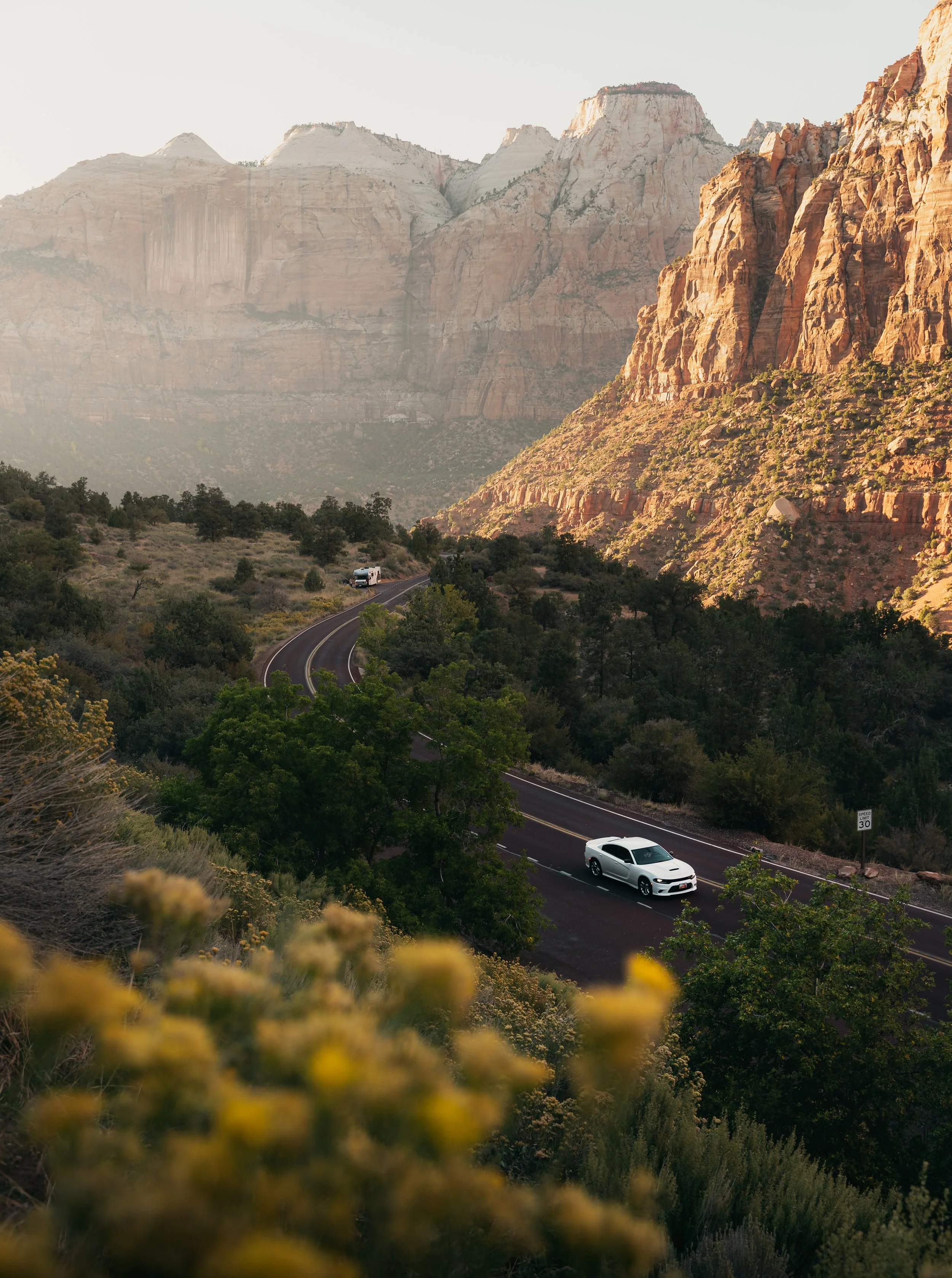 Zion_1023-15.jpg