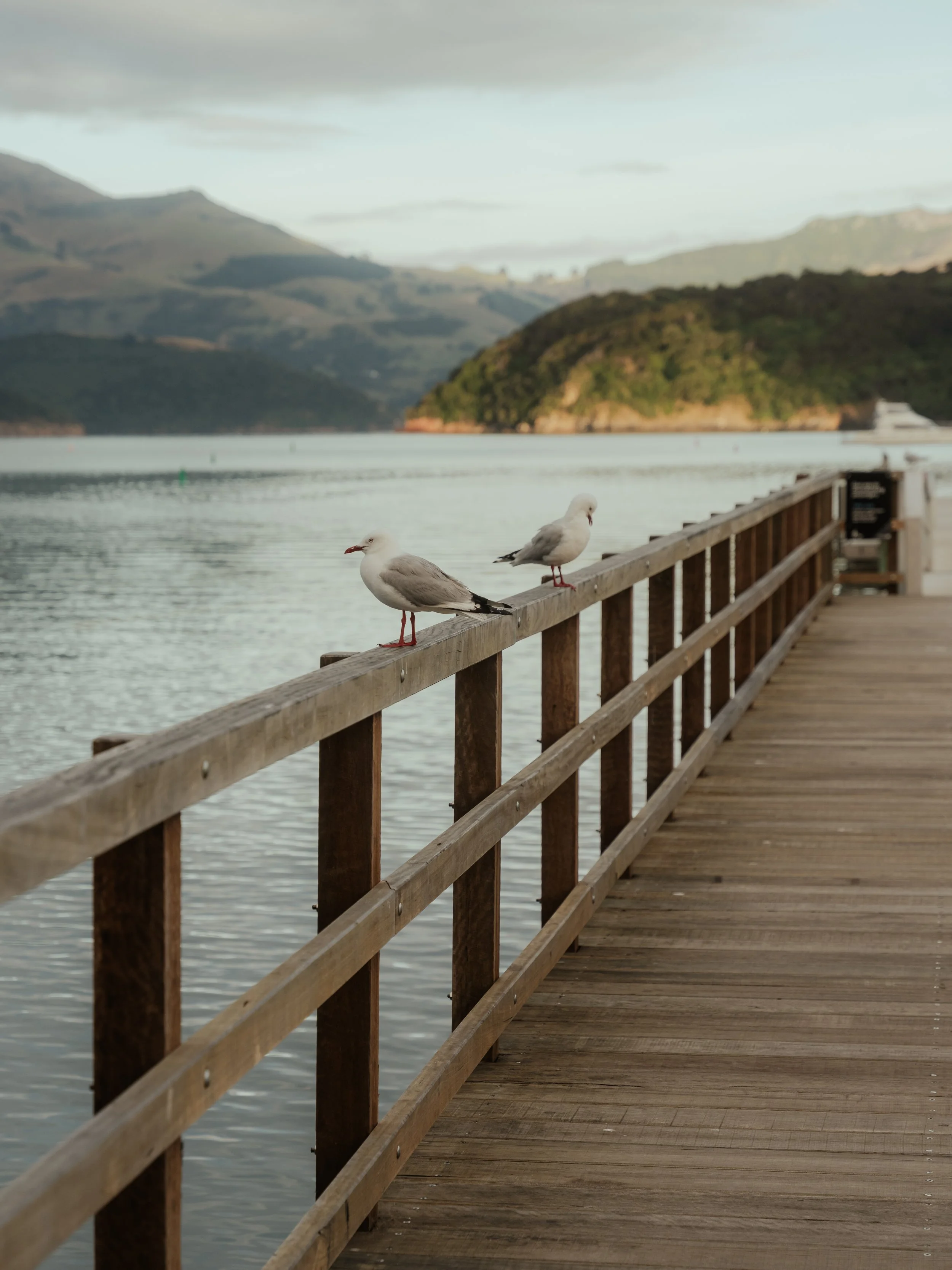 Squarespace_NewZealand-29.jpg