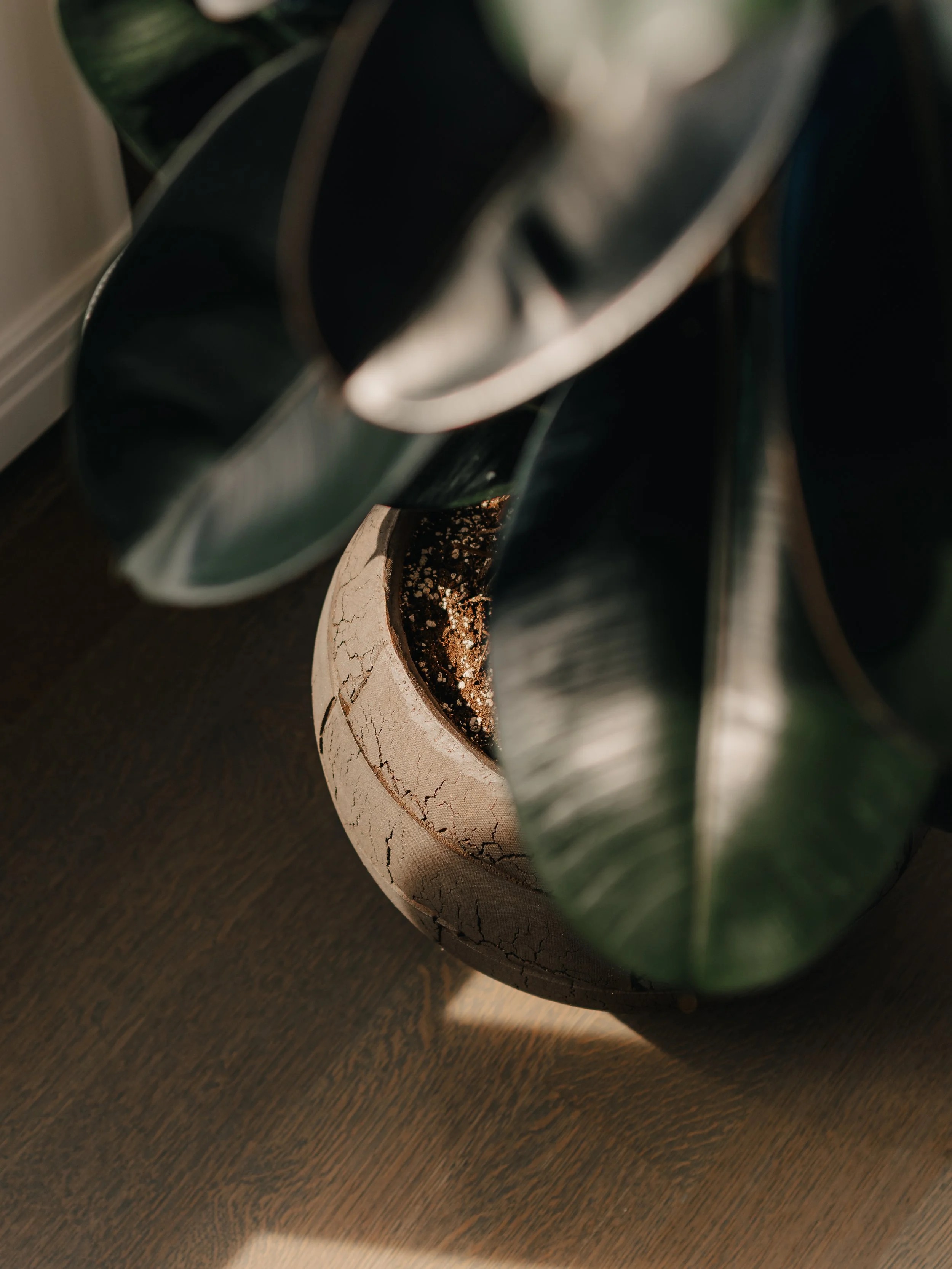 Squarespace_Radnor-18.jpg