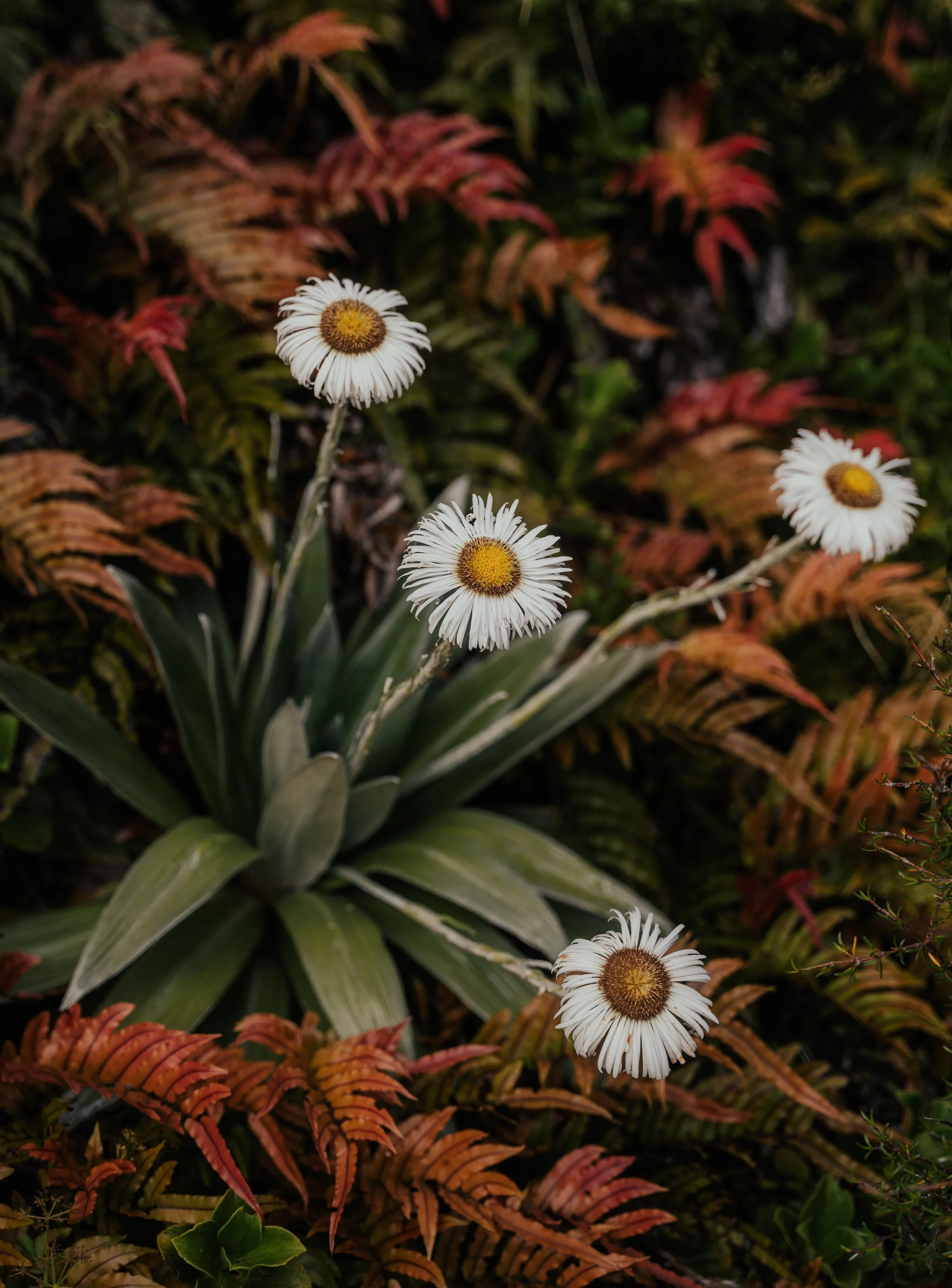 Squarespace_Travel-5.jpg