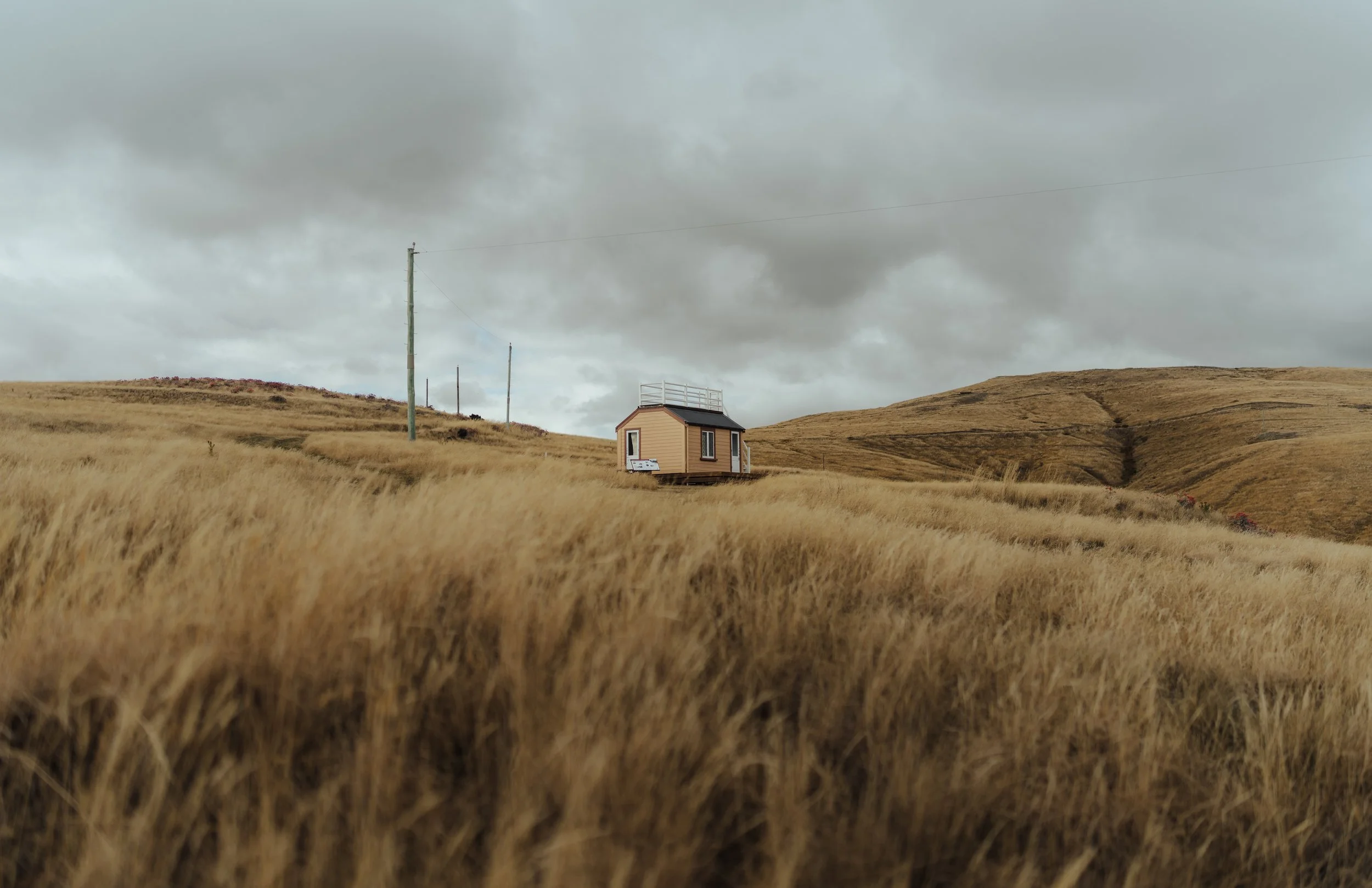 Squarespace_NewZealand-21.jpg