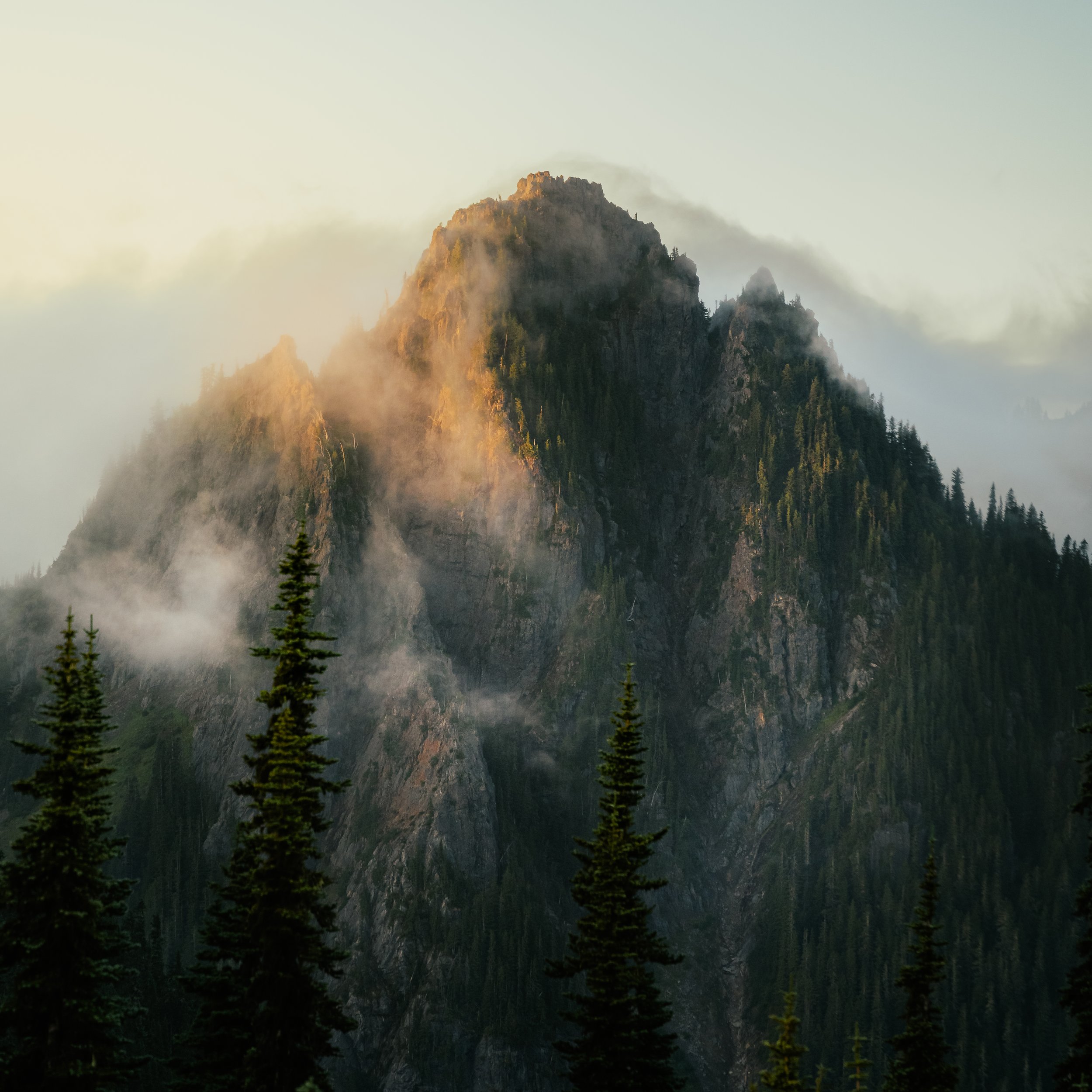 Rainier_Squarespace-1.jpg