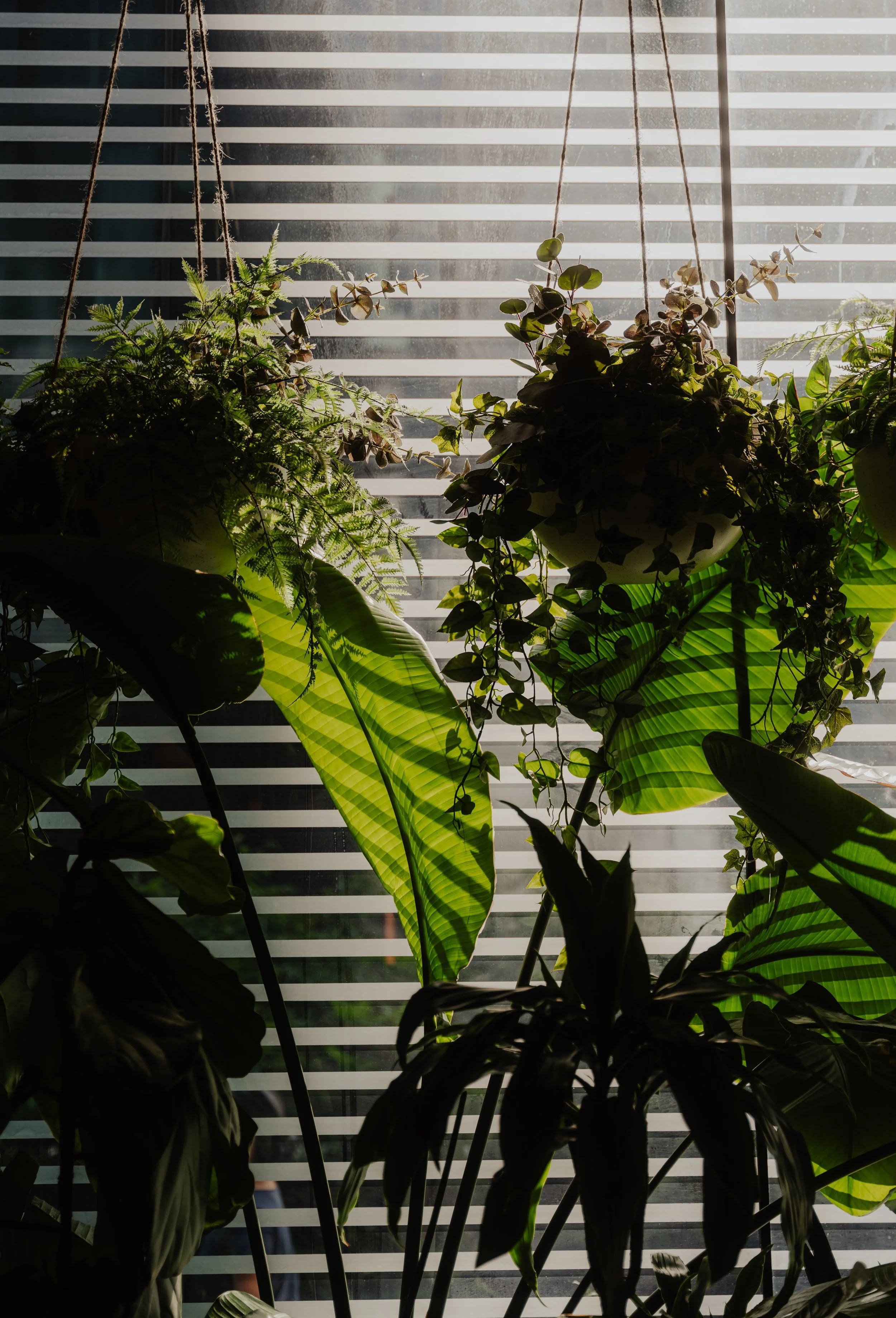 Squarespace_PendryManhattanWest-8.jpg