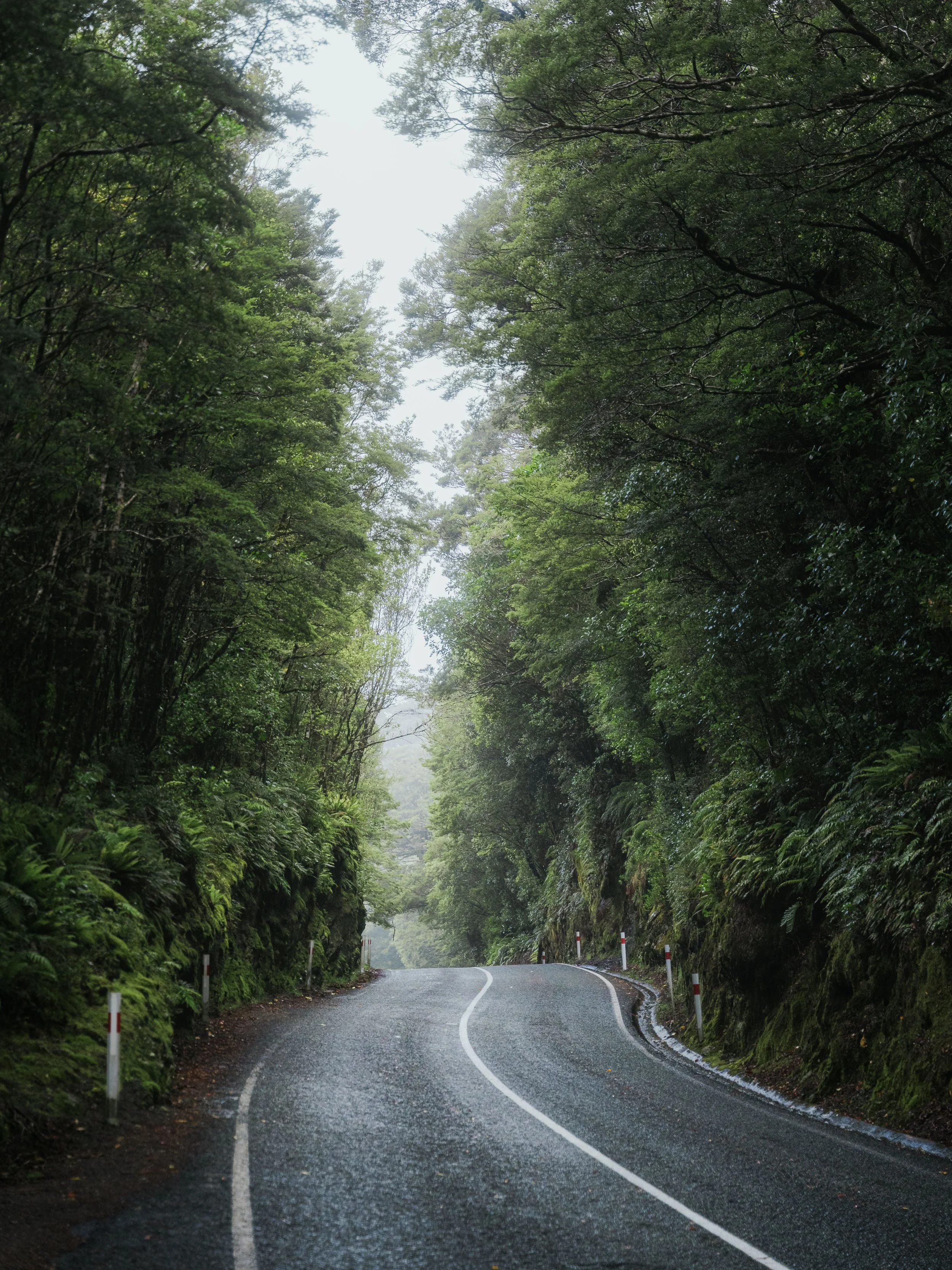 Squarespace_NewZealand-3.jpg