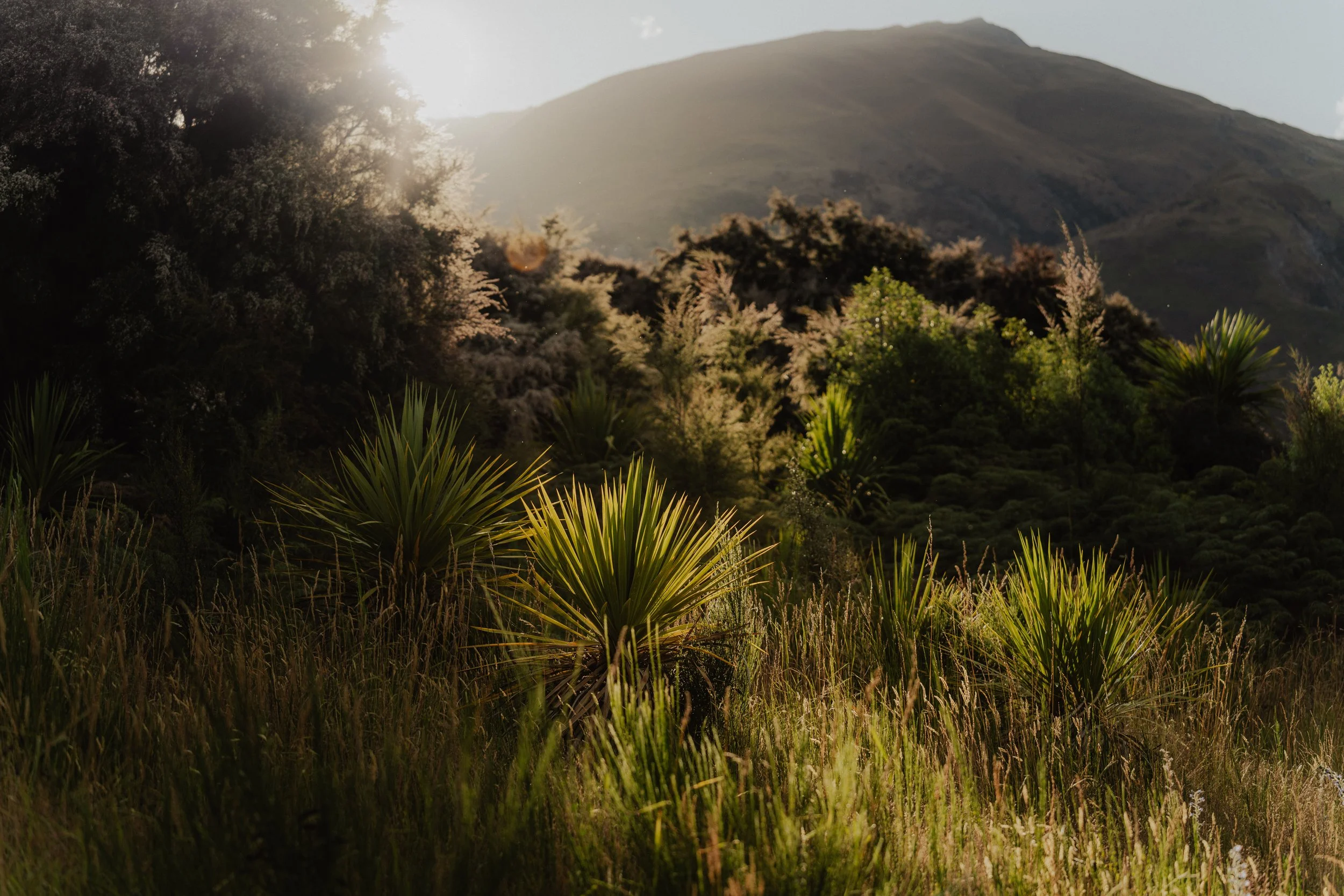Squarespace_NewZealand-12.jpg