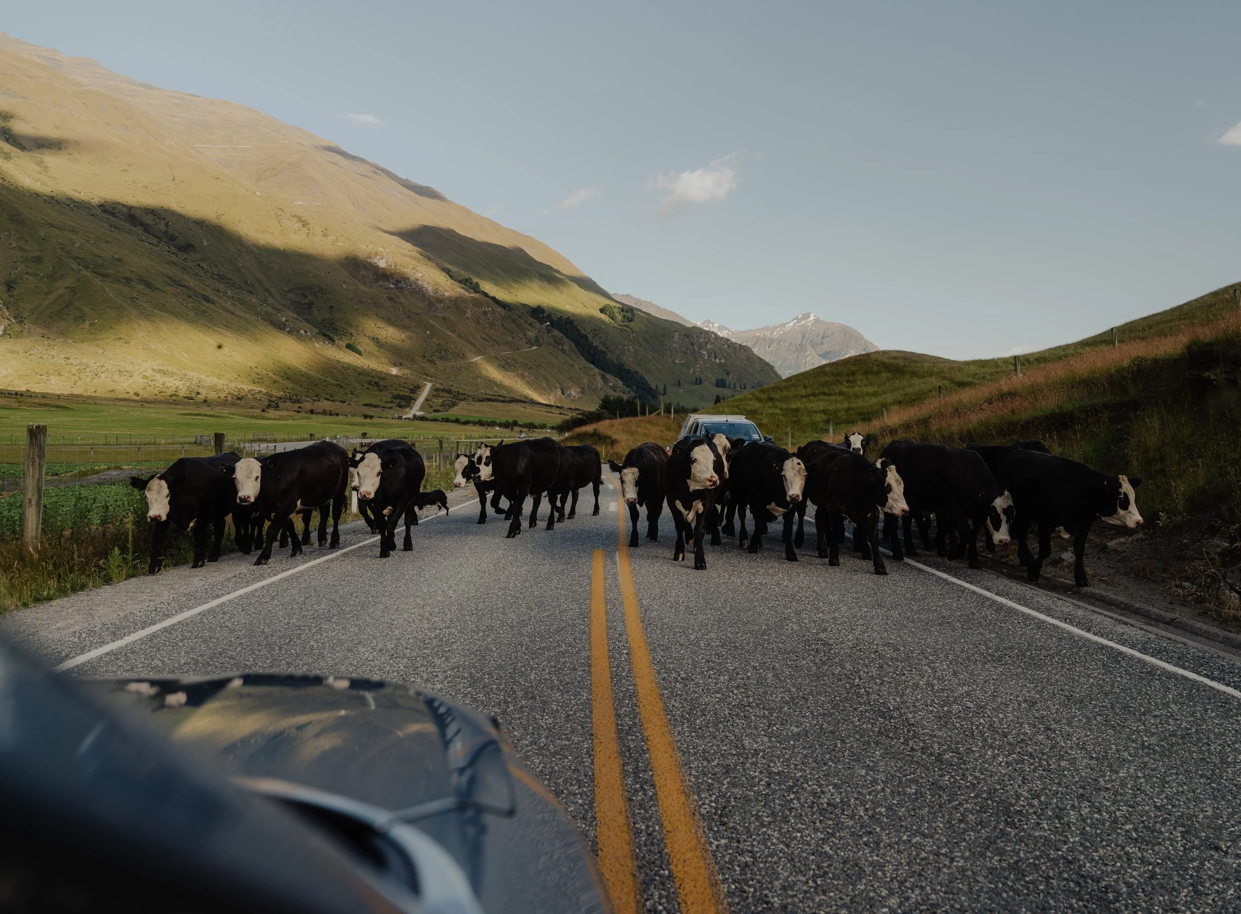 Squarespace_NewZealand-13.jpg