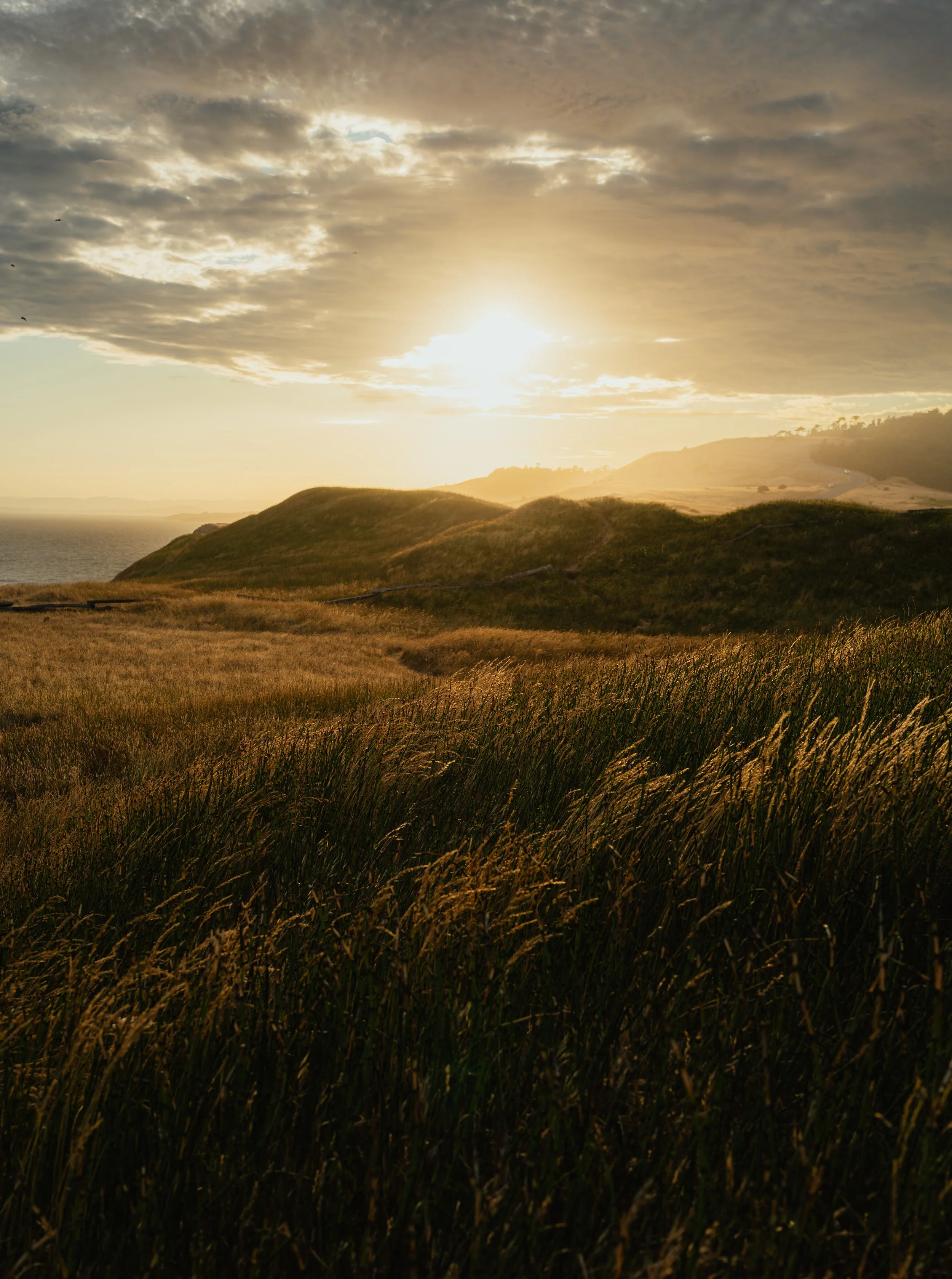 SanJuanIsland_Squarespace-31.jpg