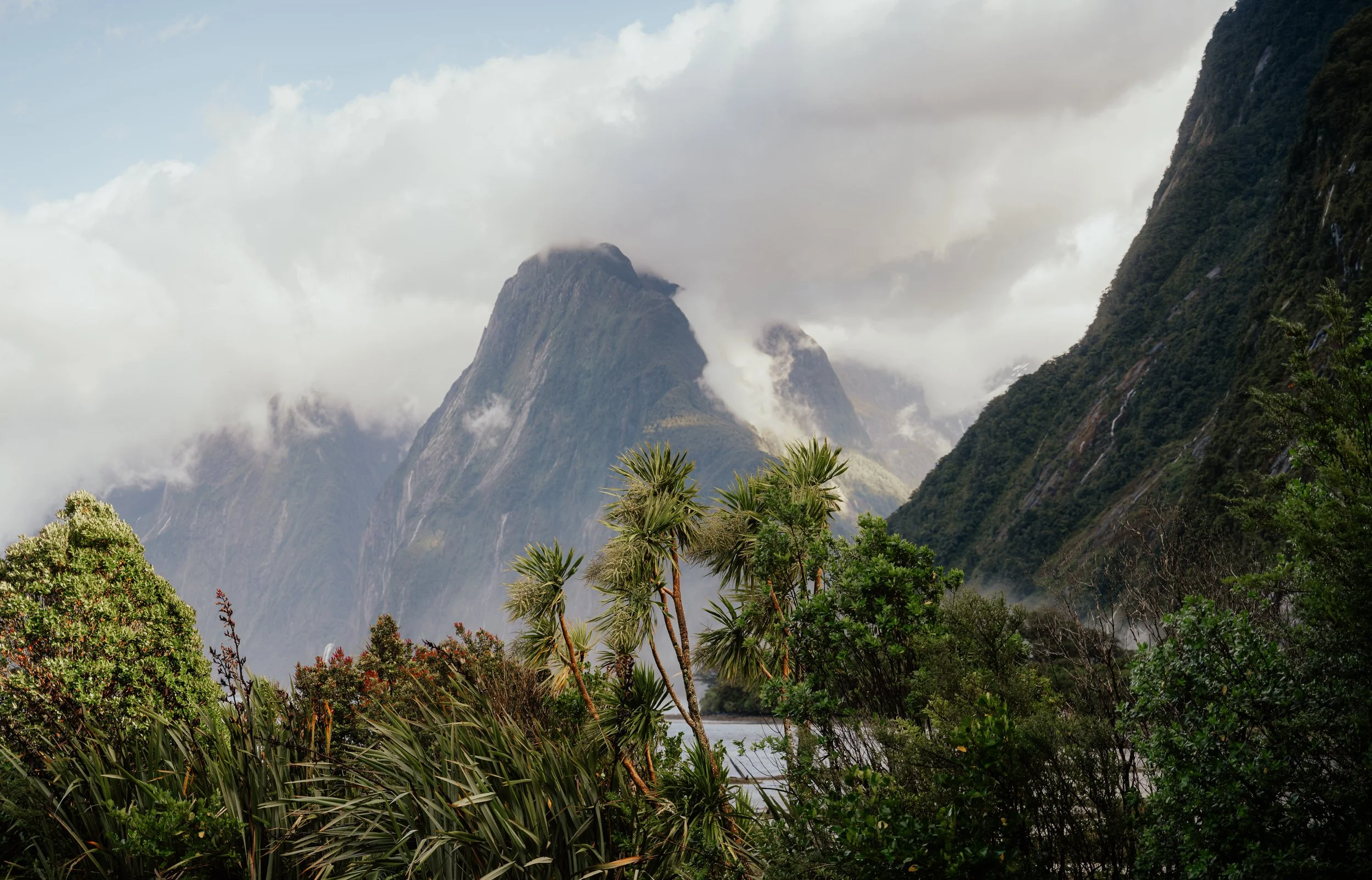Squarespace_NewZealand-6.jpg