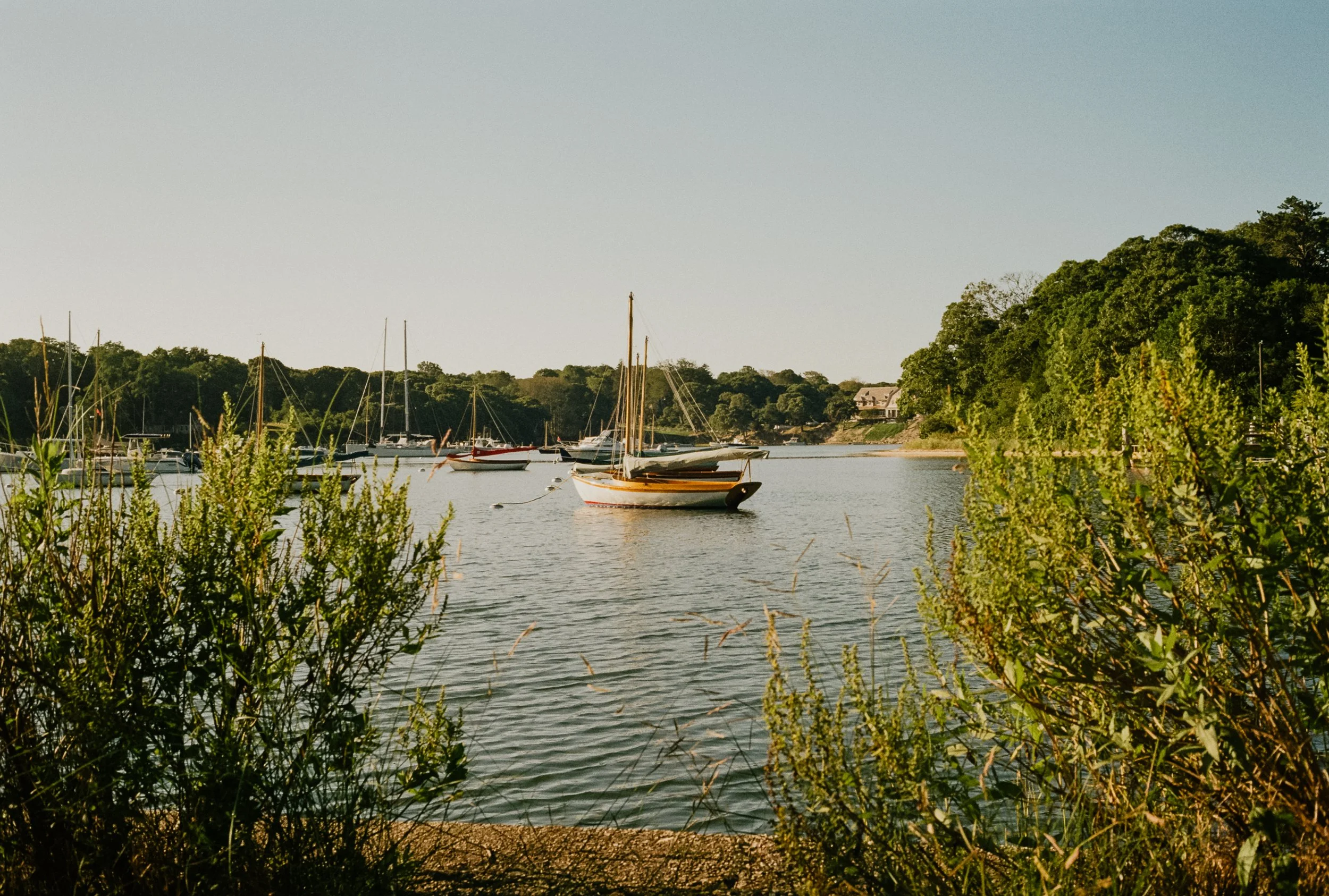 Analog_CapeCod_Squarespace-18.jpg