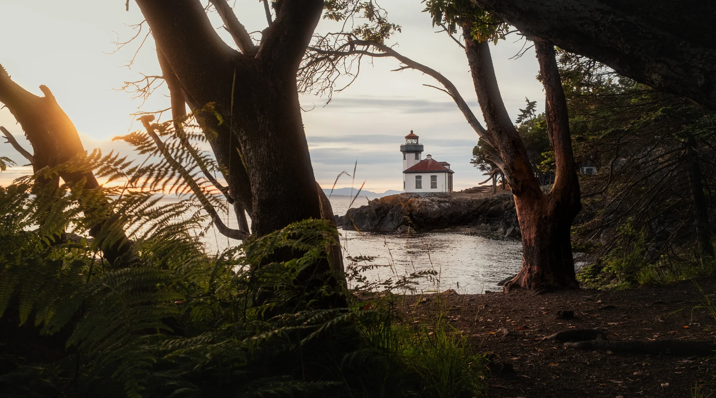 SanJuanIsland_Squarespace-20.jpg