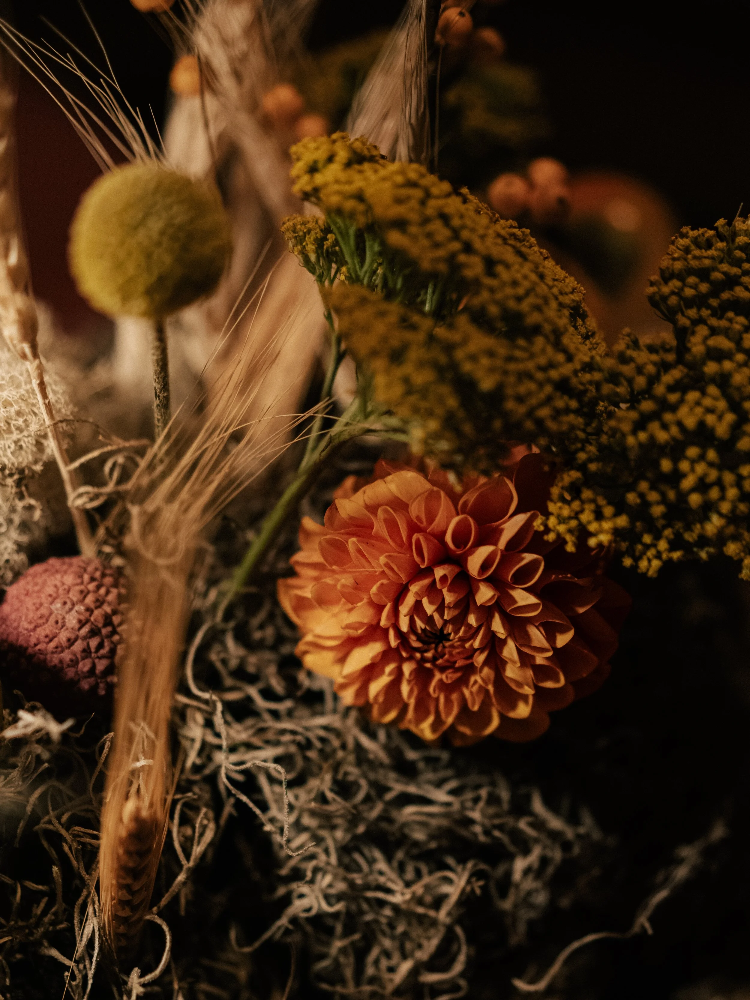 Squarespace_Viceroy-5.jpg
