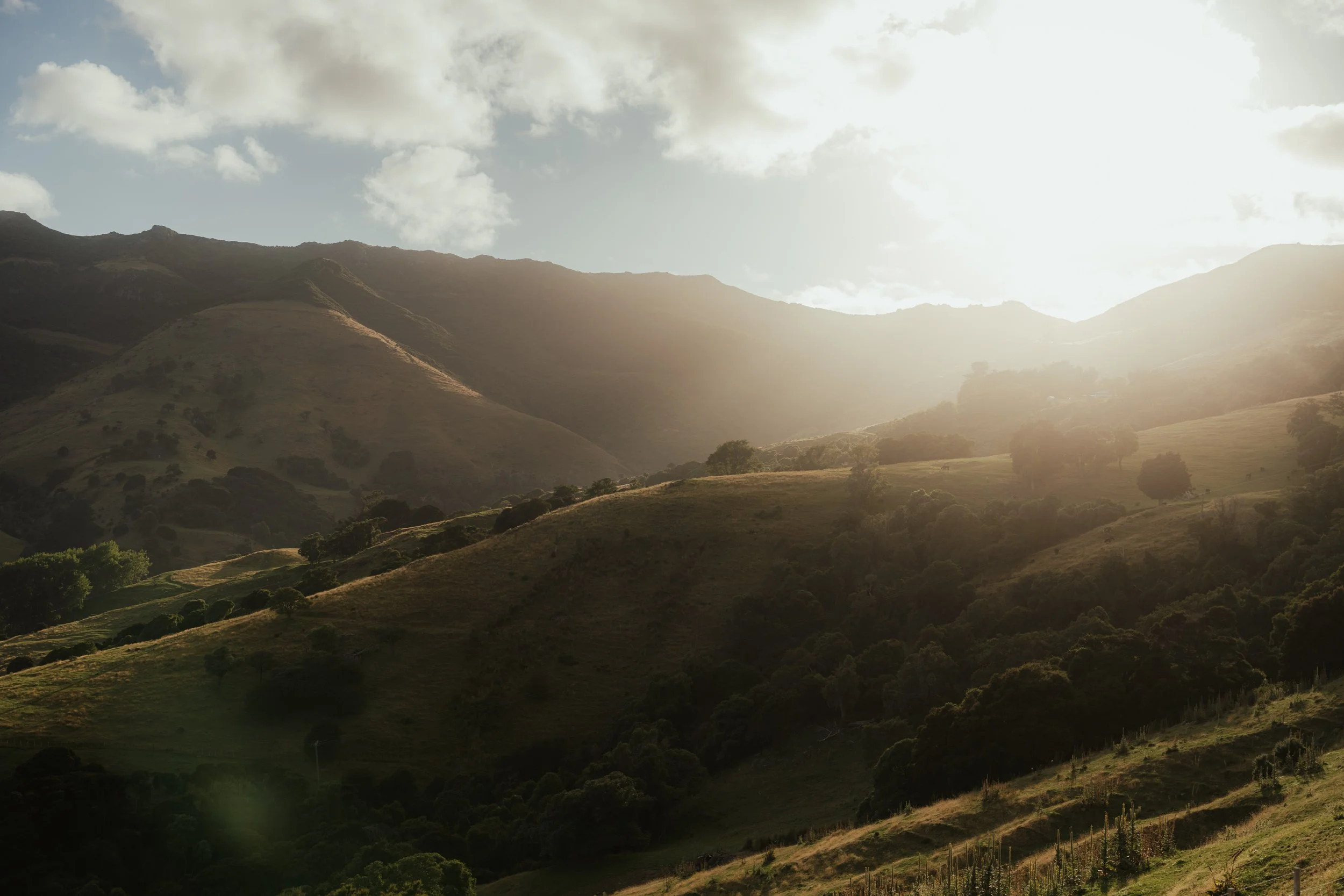 Squarespace_NewZealand-31.jpg