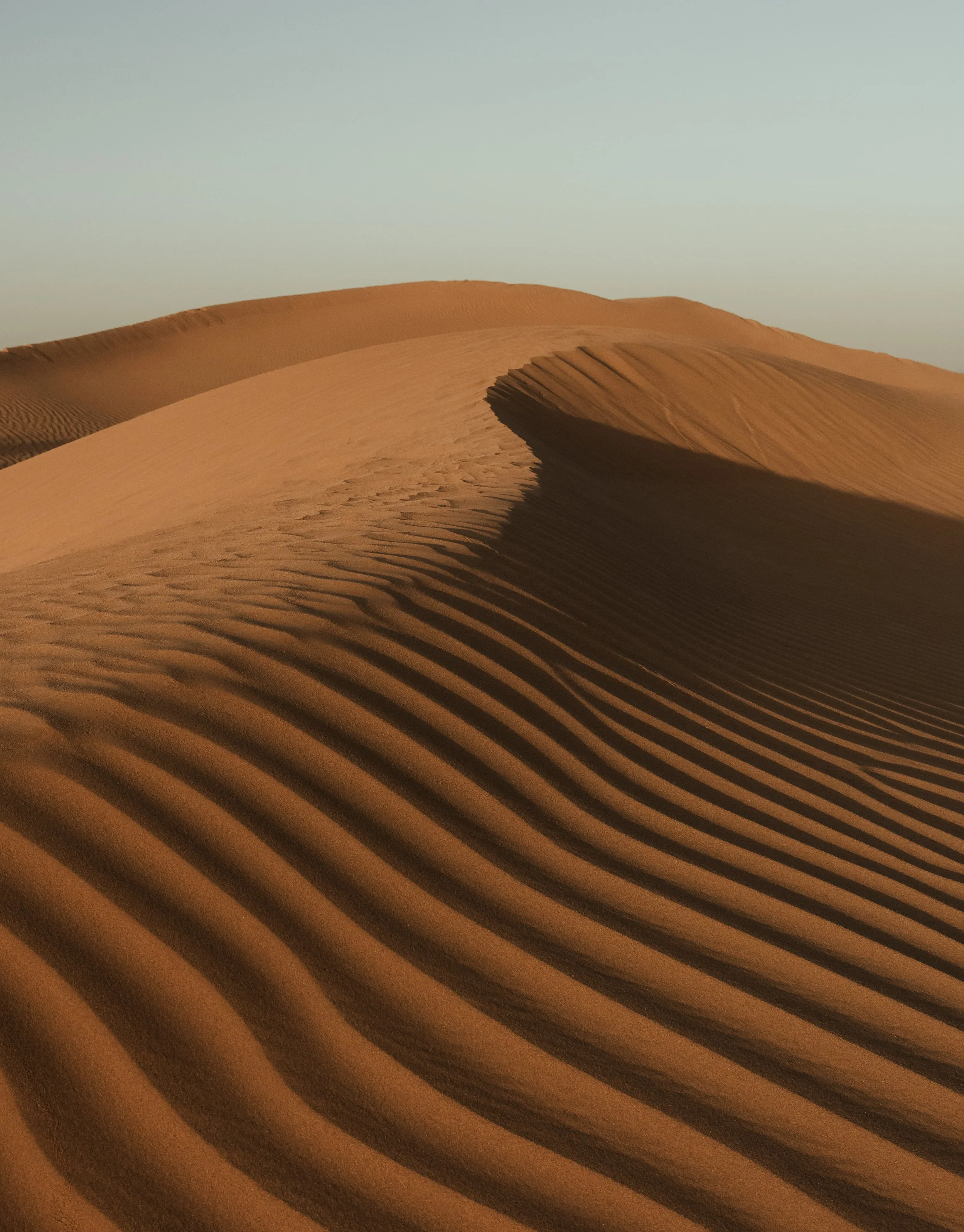 Sand dunes in a desert with ripples and a clear sky.