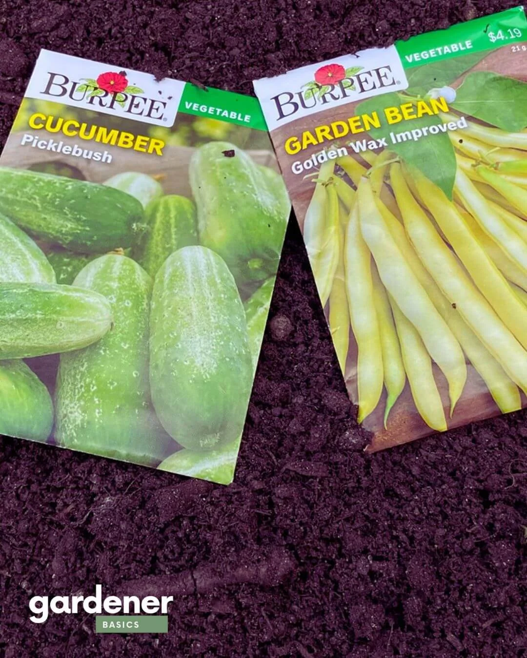 Want Better Results? These Are the Veggies You Should Always Grow From Seed