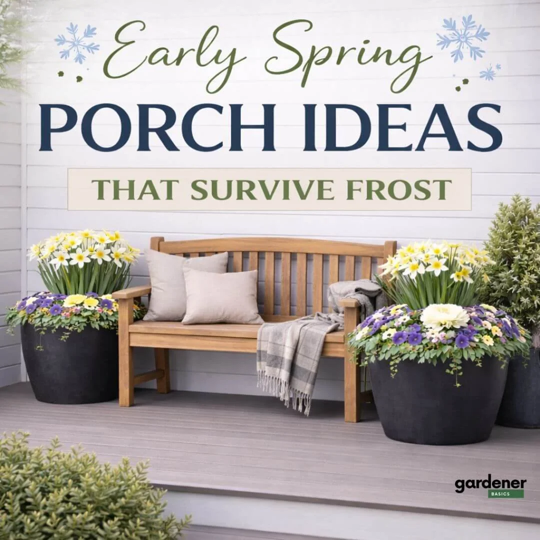 Early Spring Front Porch Ideas That Survive Frost