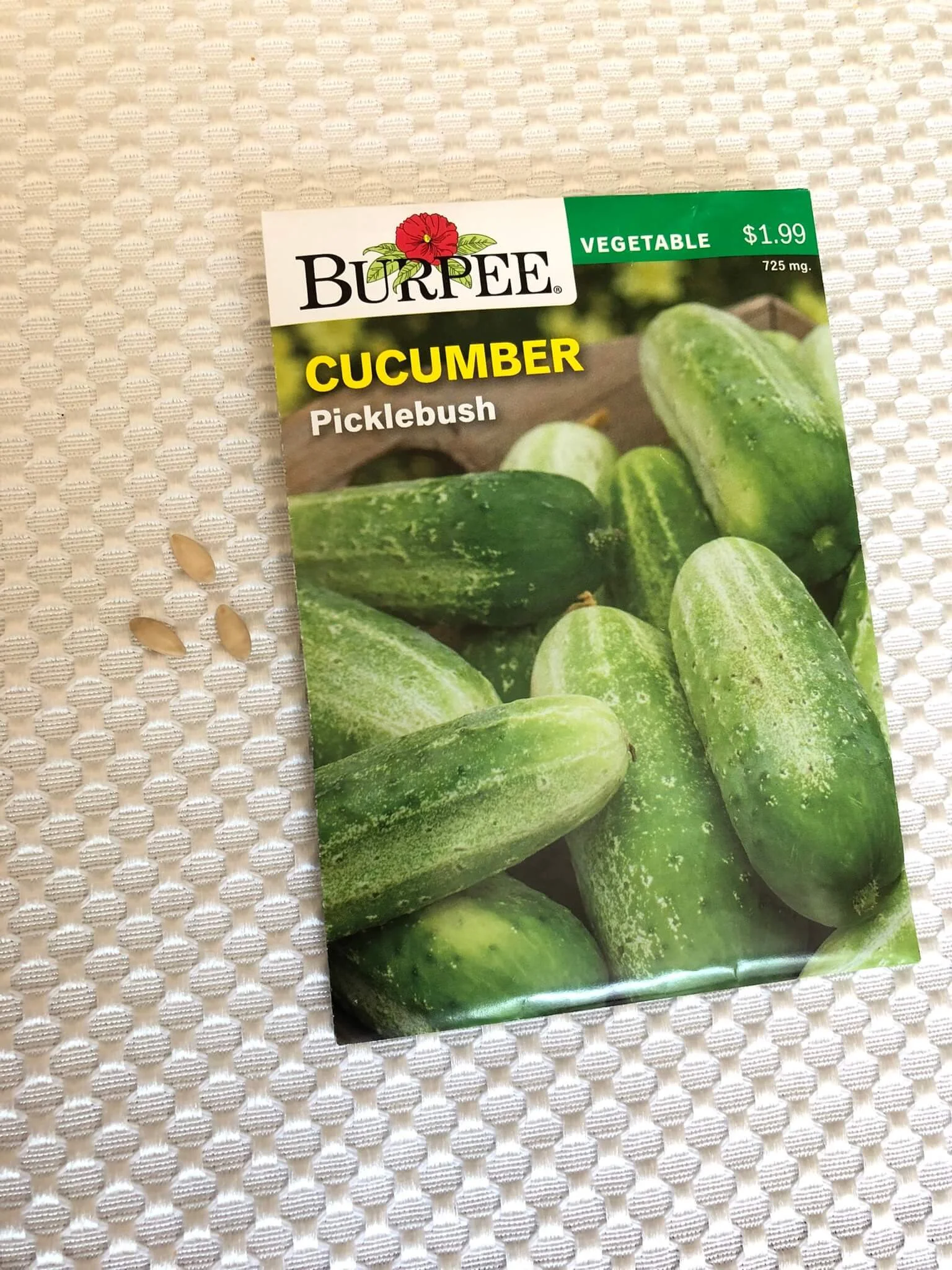 How to Grow Cucumbers in Grow Bags A Beginner's Guide — Gardening