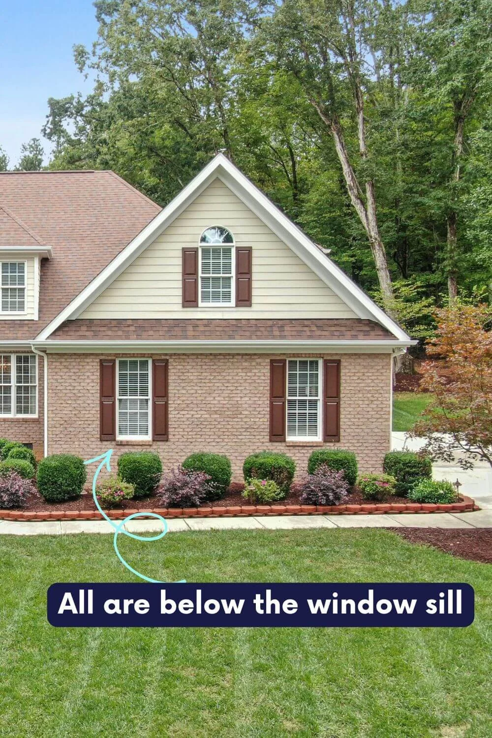 Correct Planting for Foundation