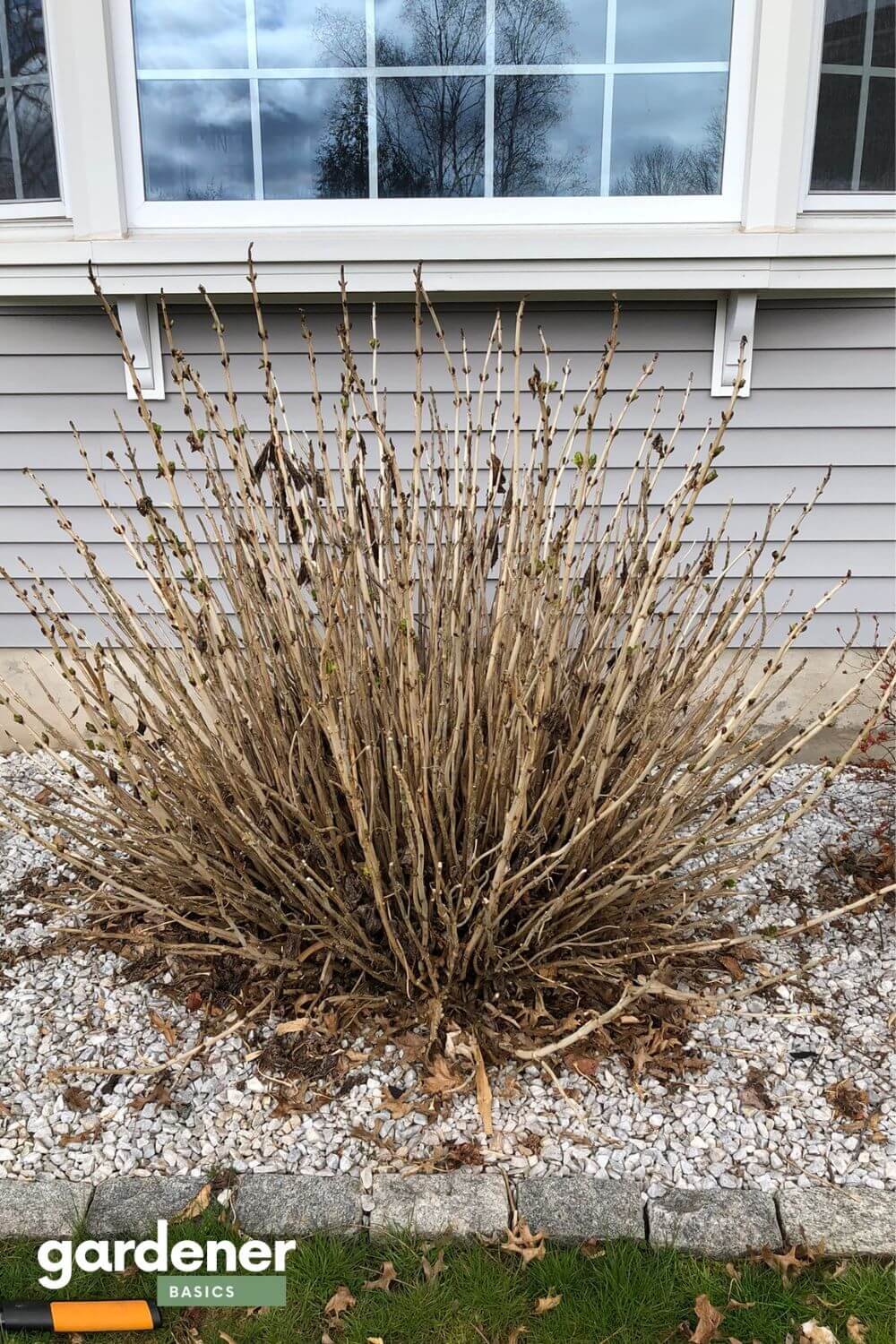 Not planning for winter interest