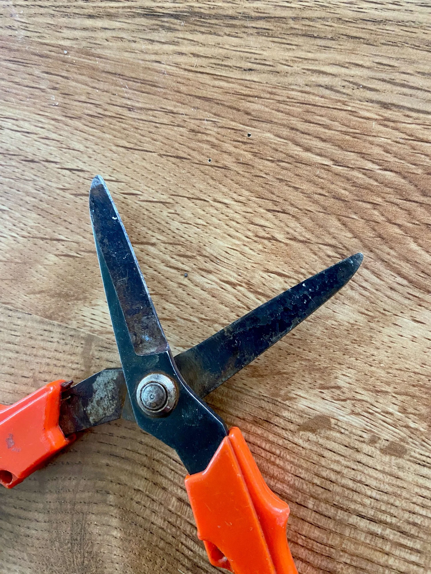 The Best Way to Keep Your Gardening Tools Sharp A Review of SHARPAL