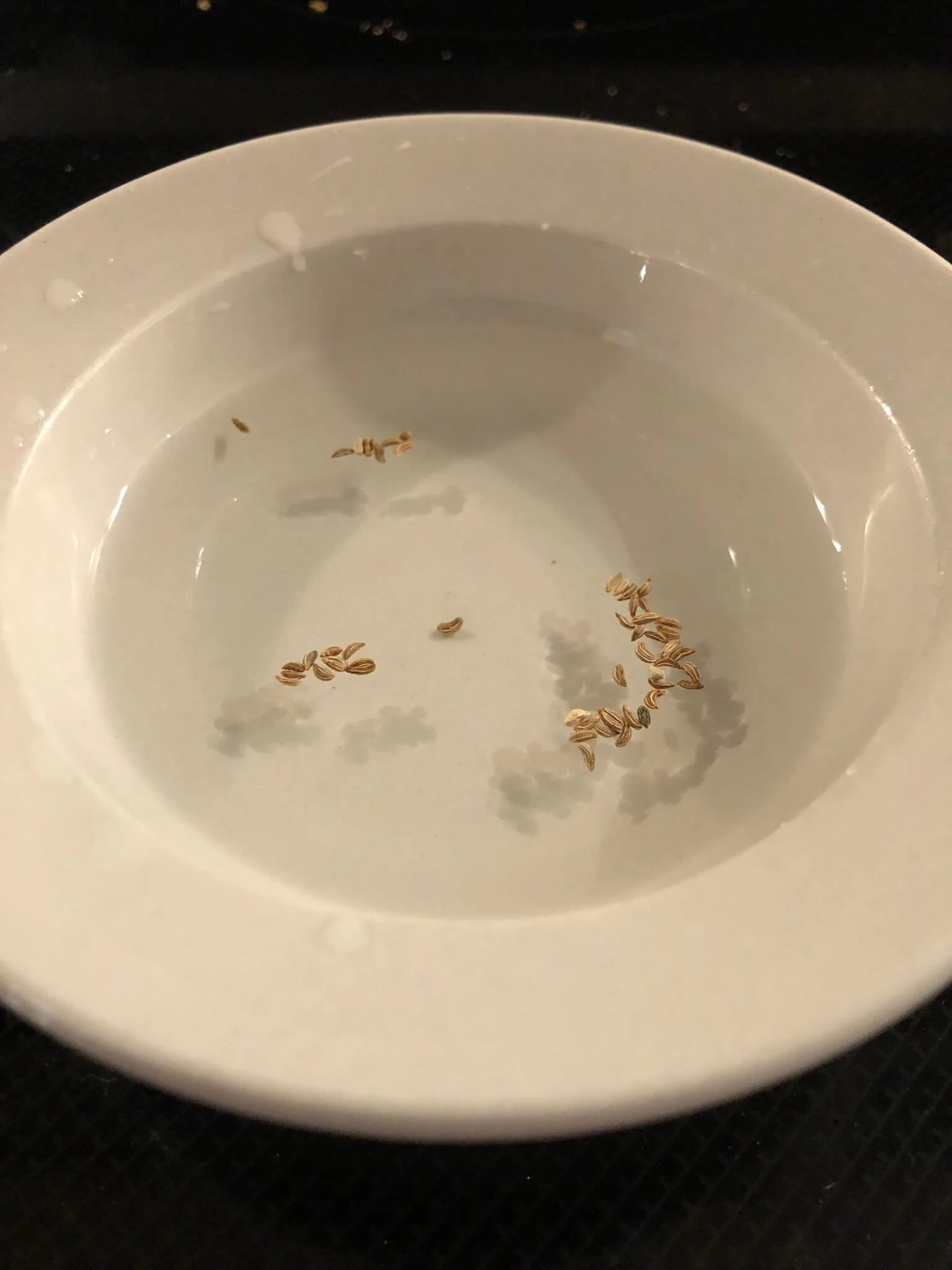 soaking parsley seeds