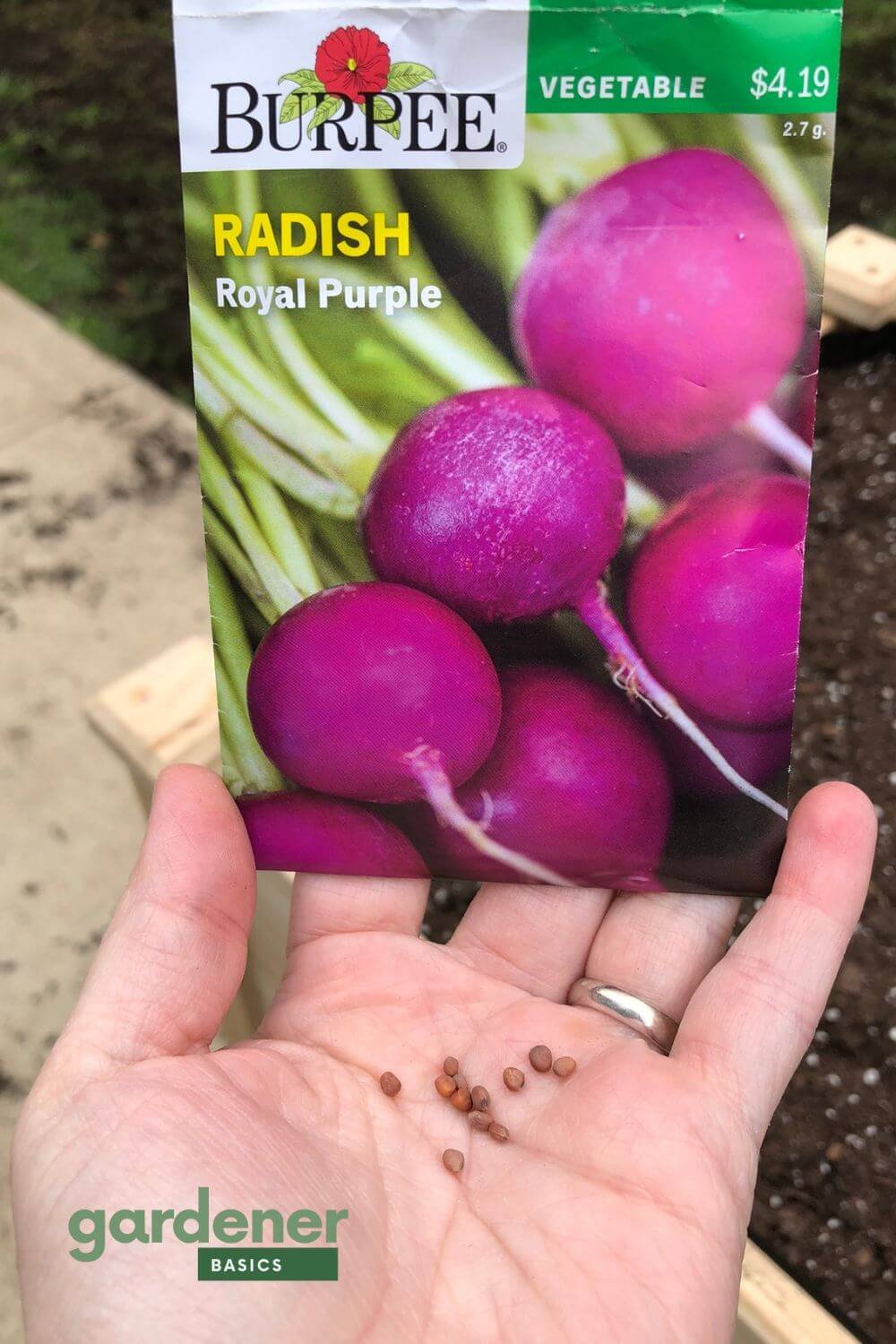Radish seeds