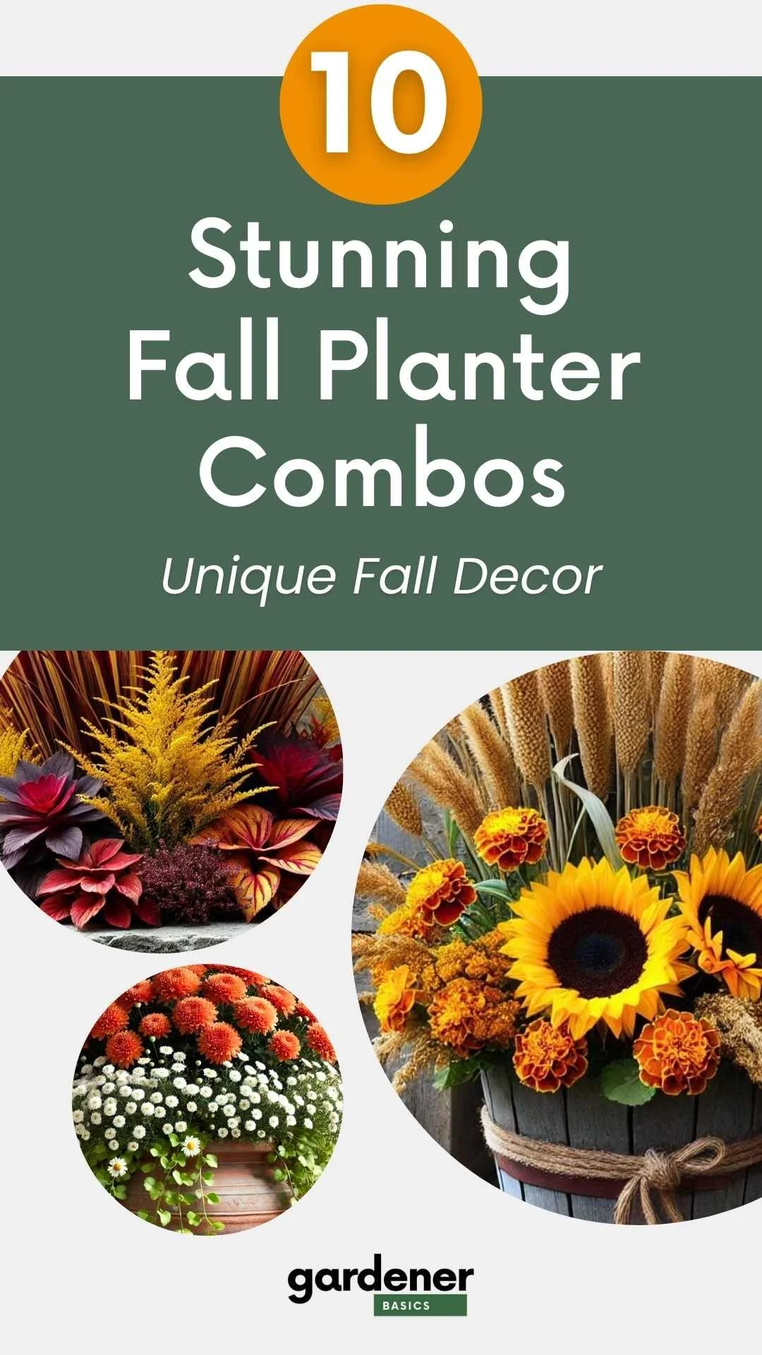 fall planter combinations